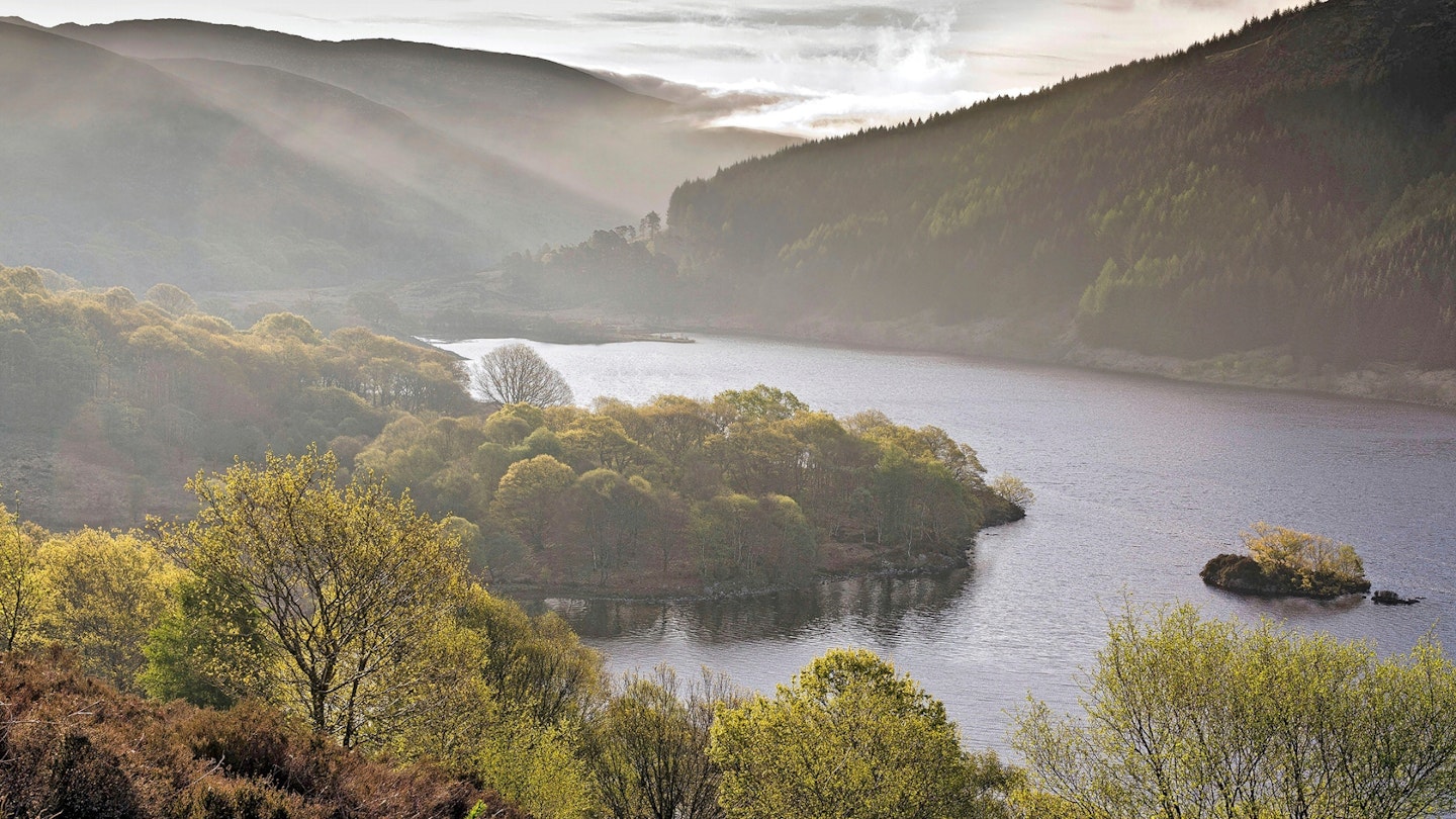 Native Oak woodland at Glen Trool, Galloway Forest Par