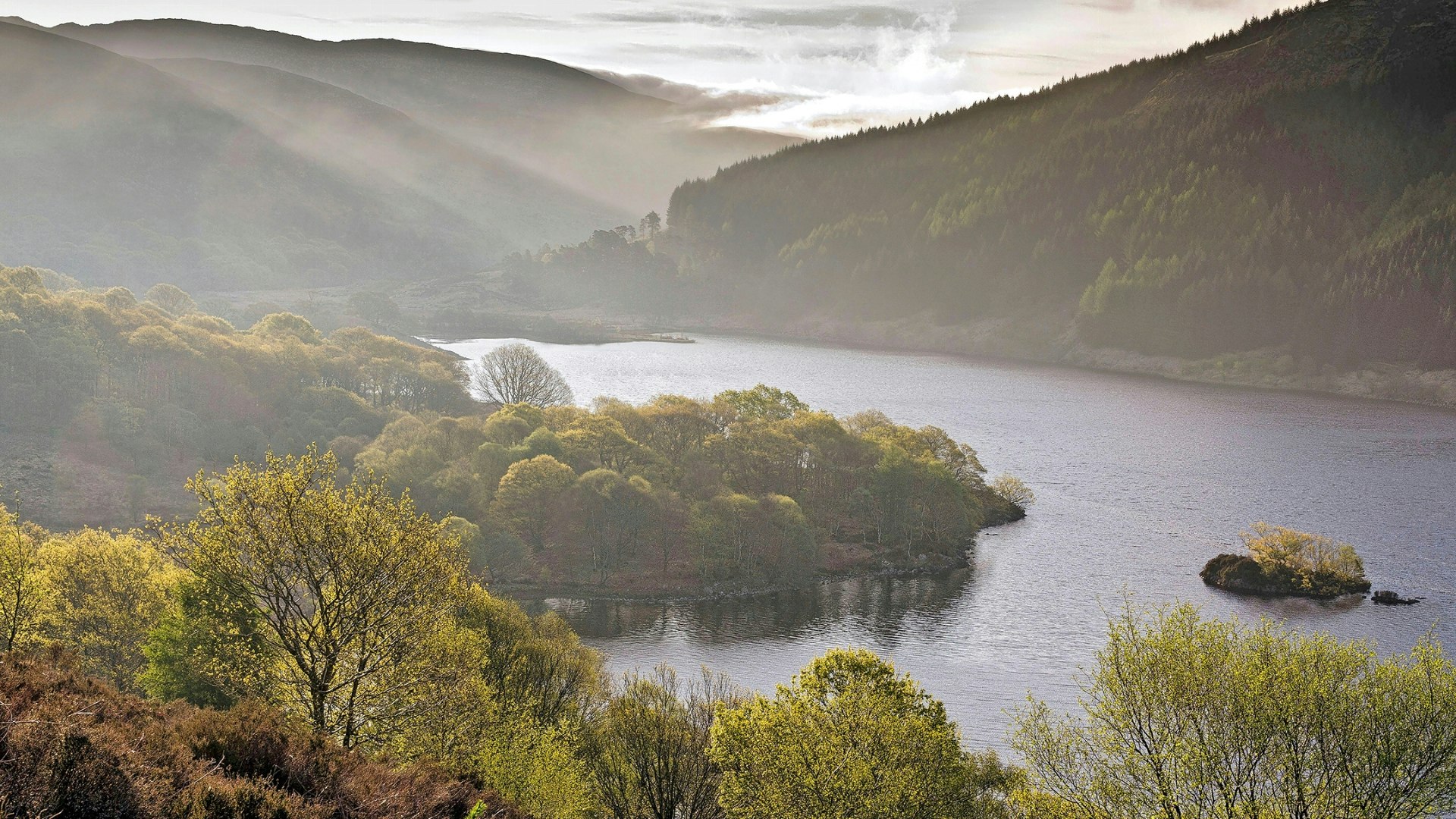 Native Oak woodland at Glen Trool, Galloway Forest Par