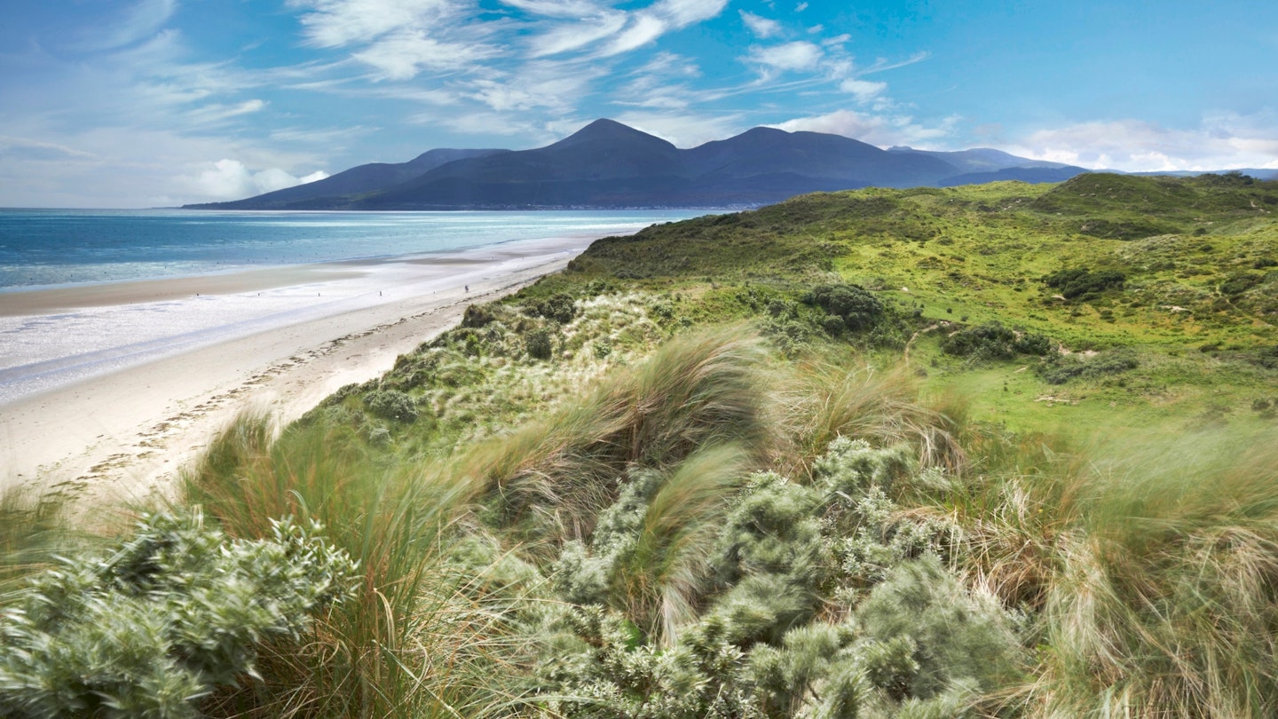 View to the Mourne Mountains from Murlough National Nature Reserve, County Down, Northern Ireland