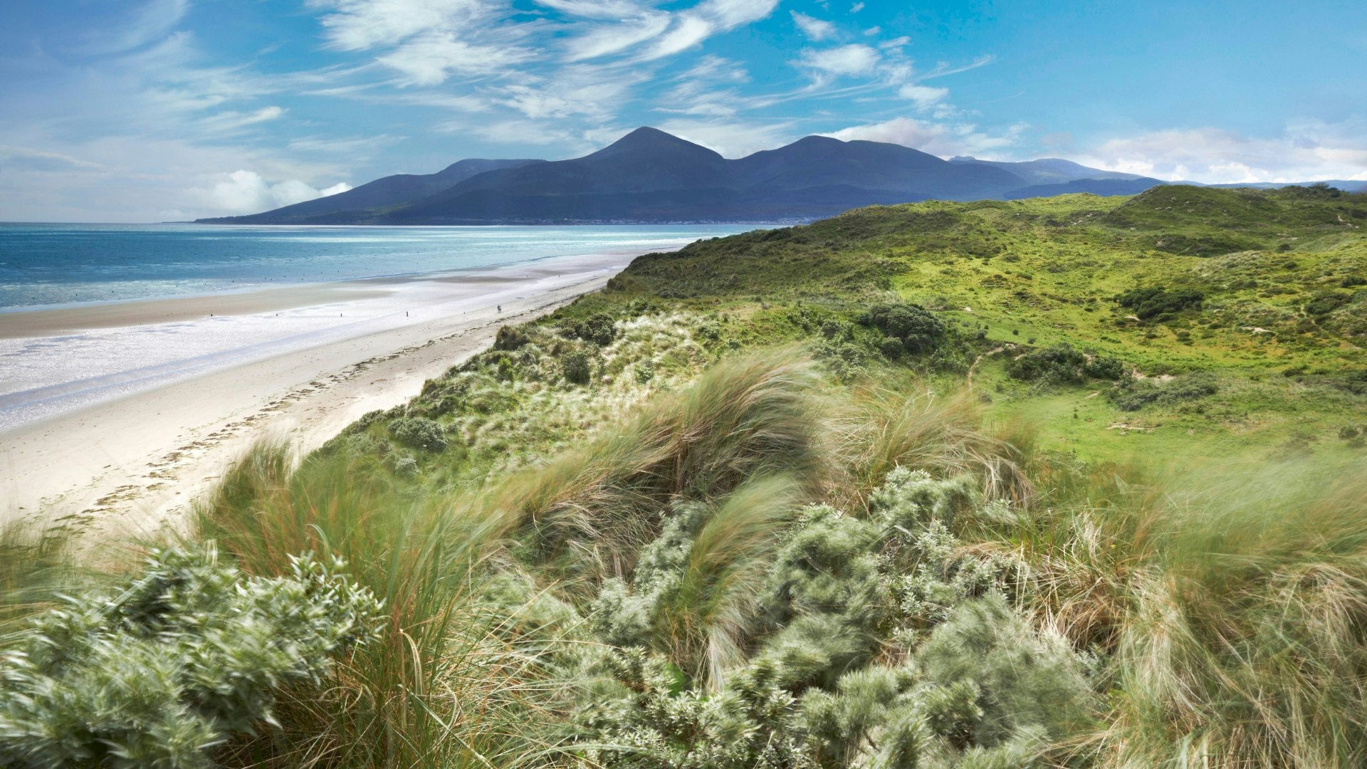 View to the Mourne Mountains from Murlough National Nature Reserve, County Down, Northern Ireland