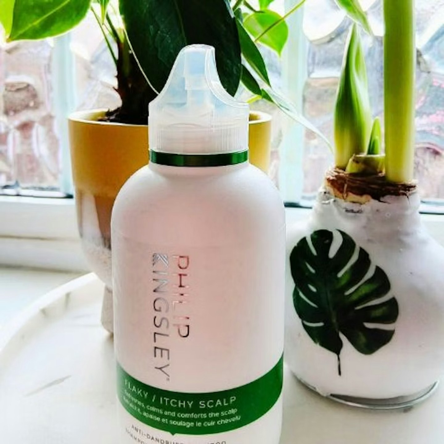 Image of the Philip Kingsley Flaky/Itchy Scalp Shampoo