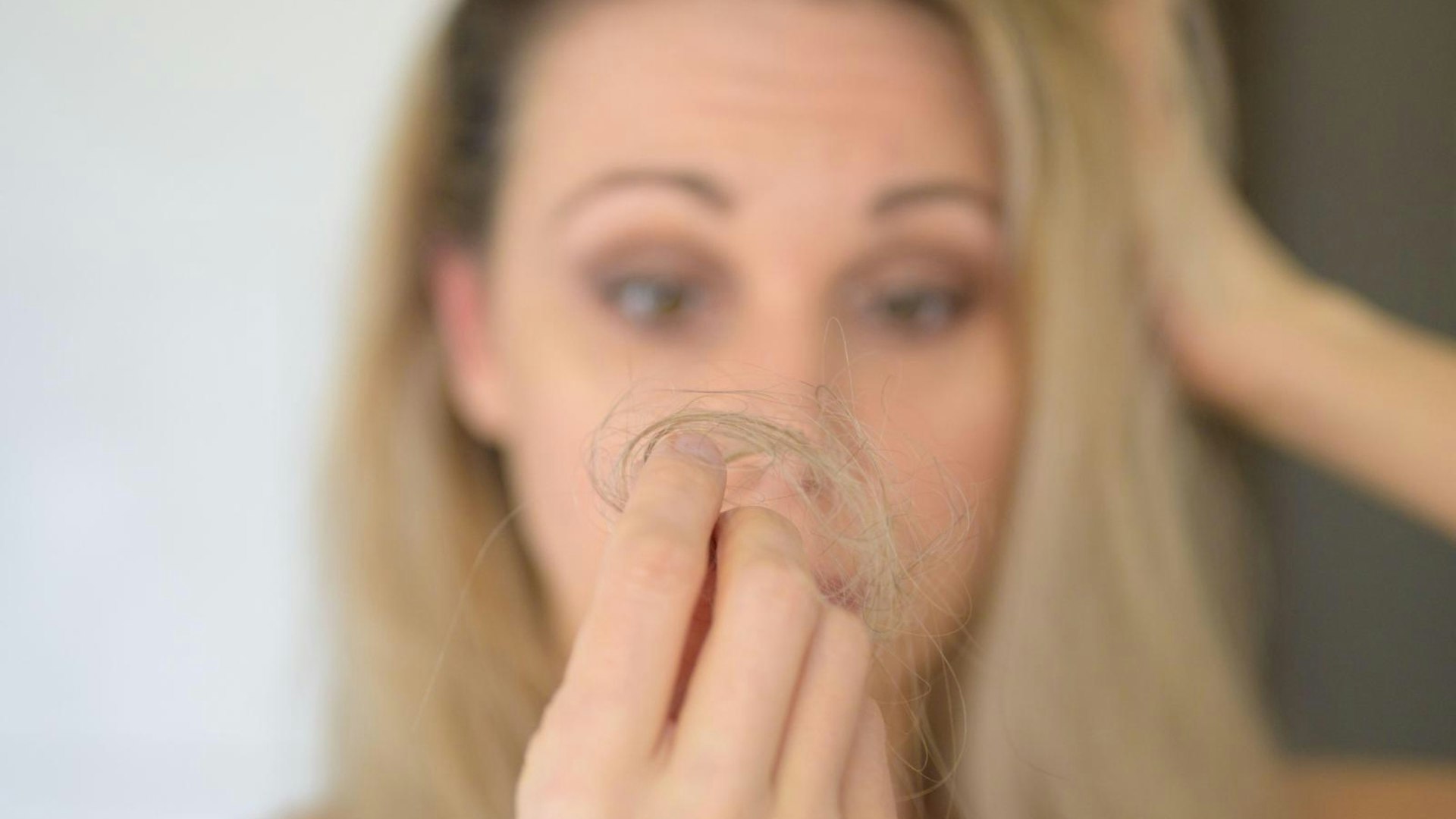 Woman looking at a loose tuft of hair after brushing it in consternation in a concept of middle-aged hair loss, focus on hand
