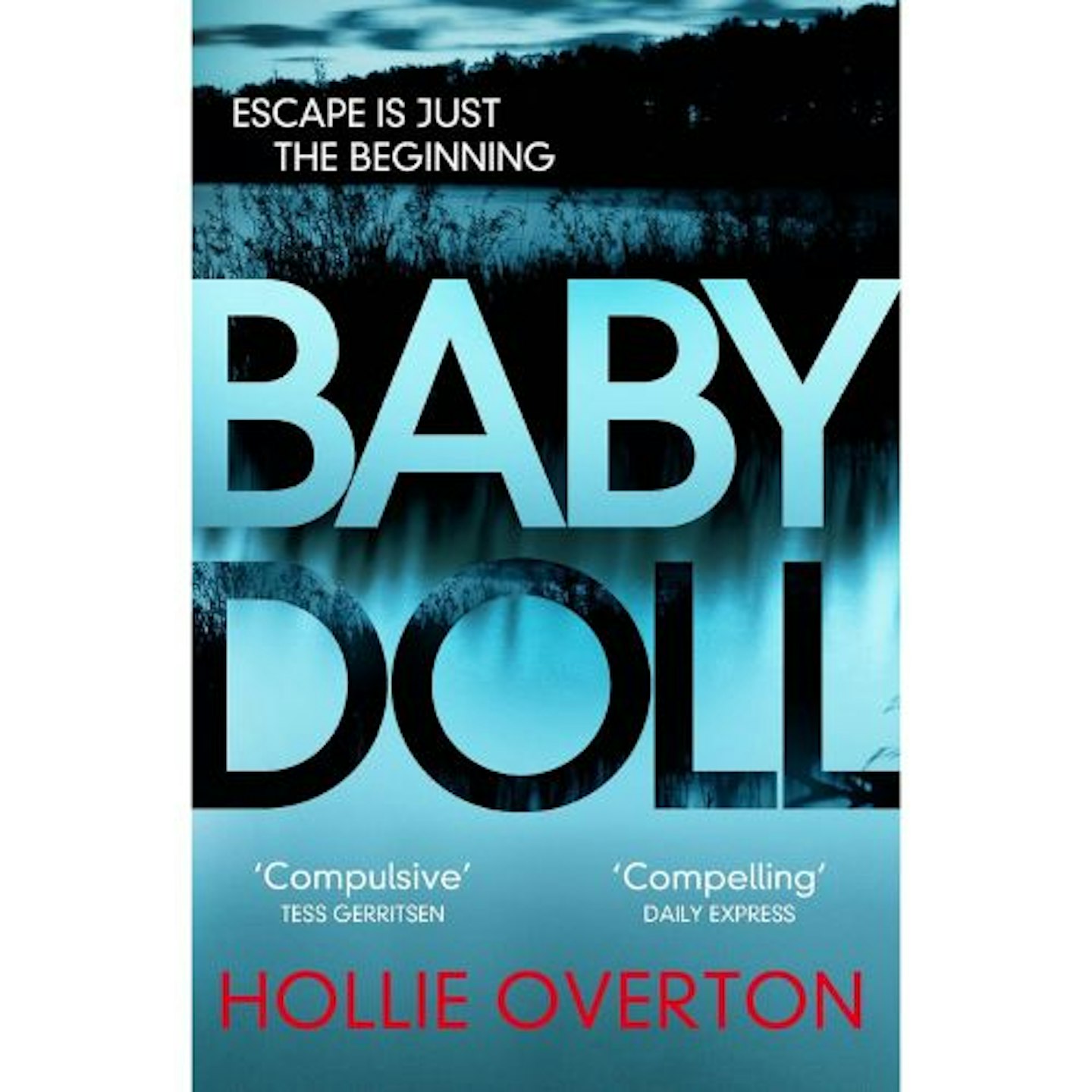 Baby Doll book by Hollie Overton, which TV show is based on