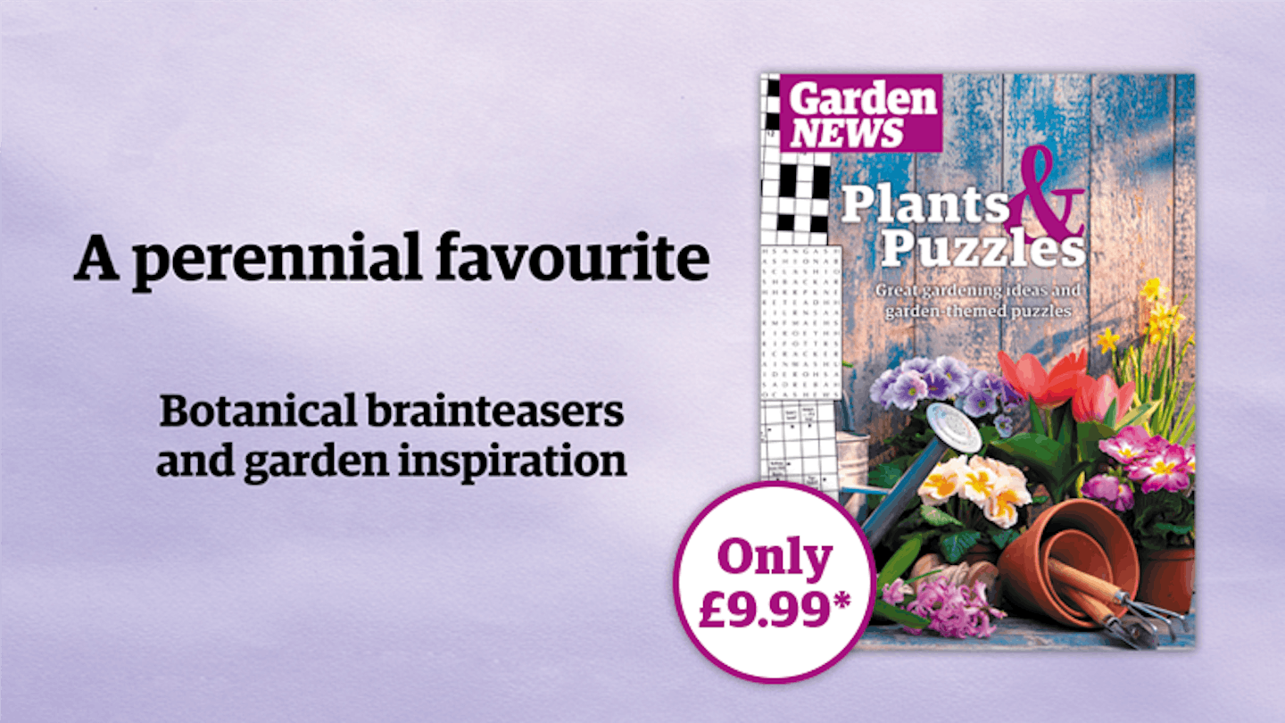 Get the Garden News Plant and Puzzles book today