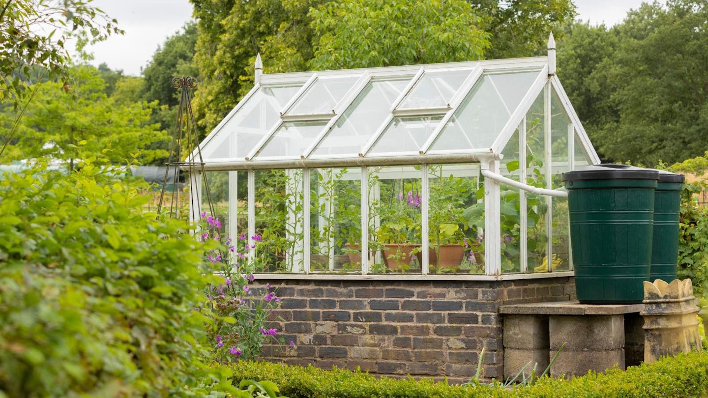 Greenhouse with 2 green water butts outside