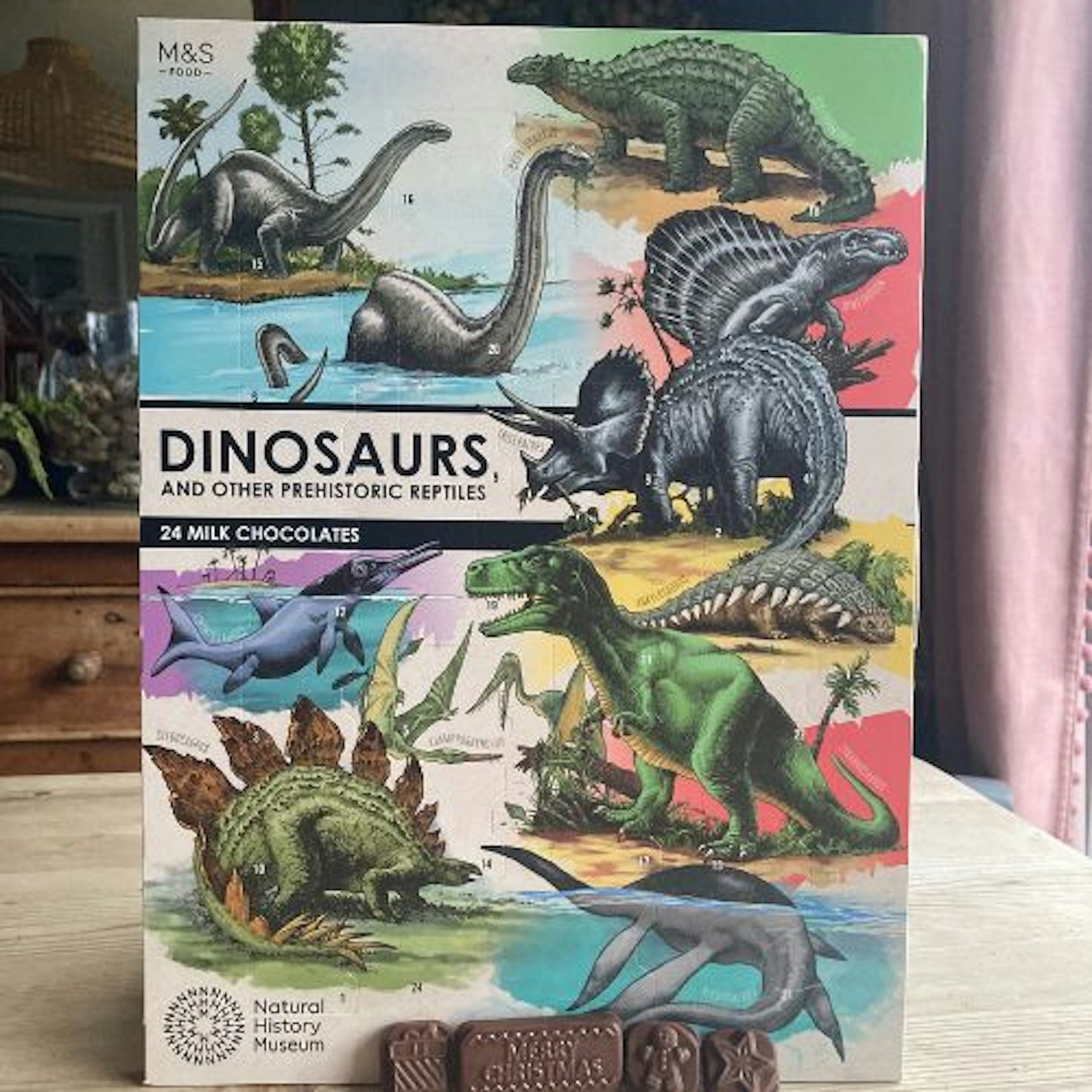 M&S Dinosaurs Advent Calendar