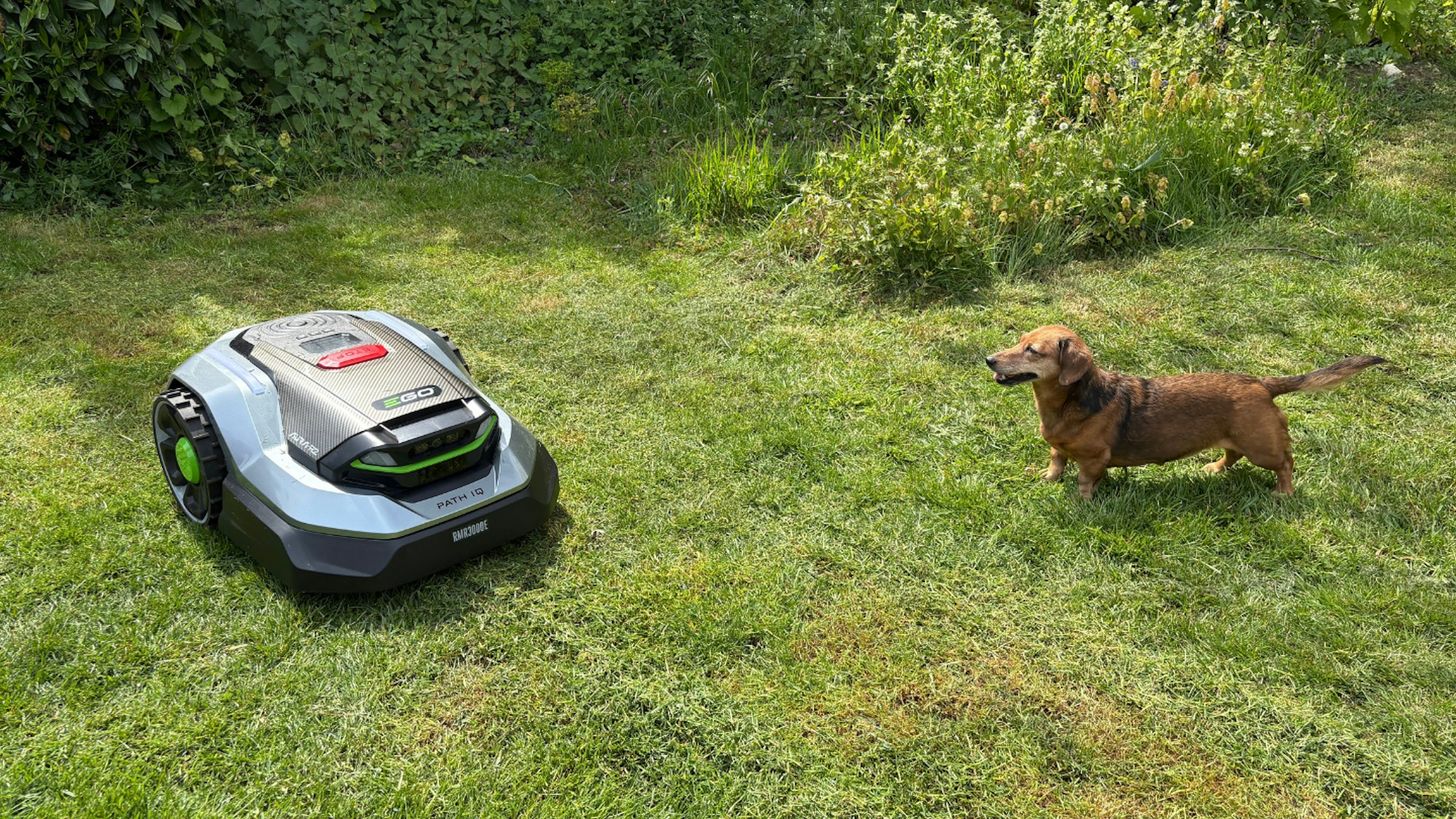 AURA-R2 Robotic Lawn Mower 3000m² app pet