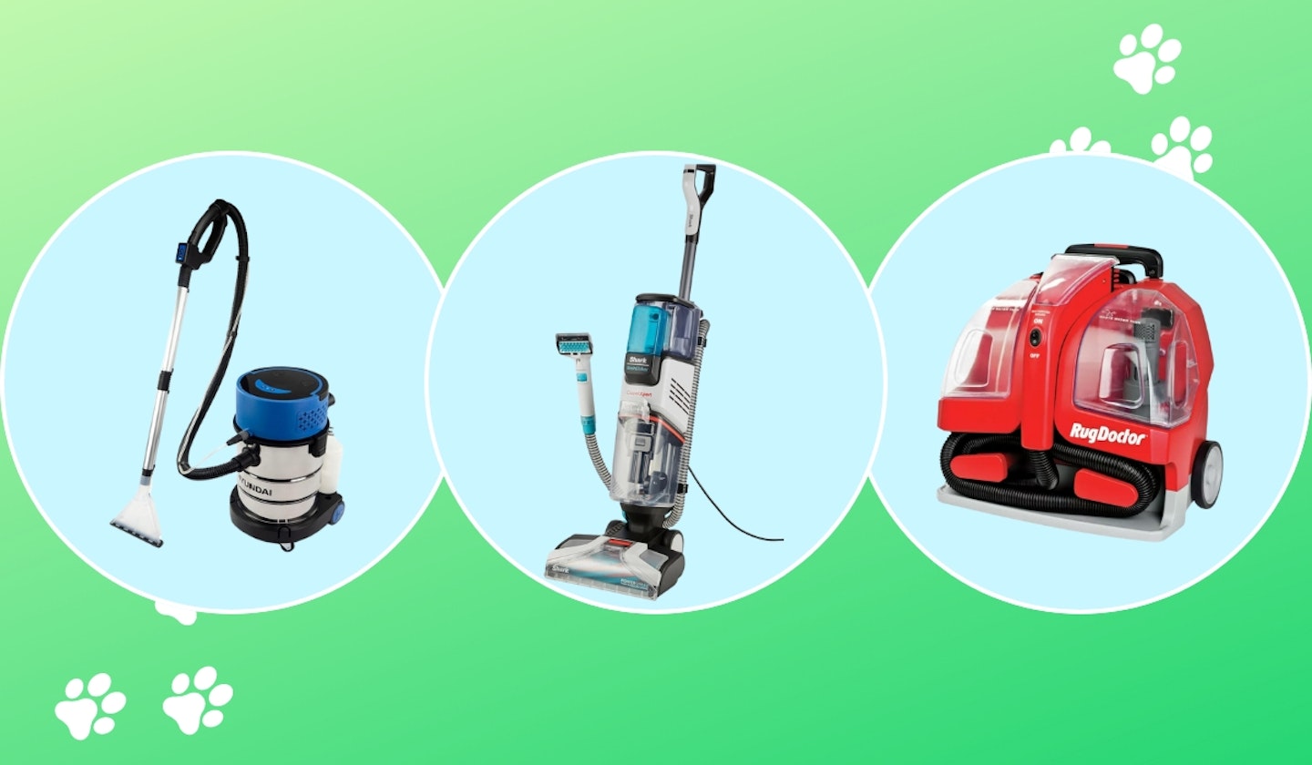 best-carpet-cleaners-pet-owners-uk-2024