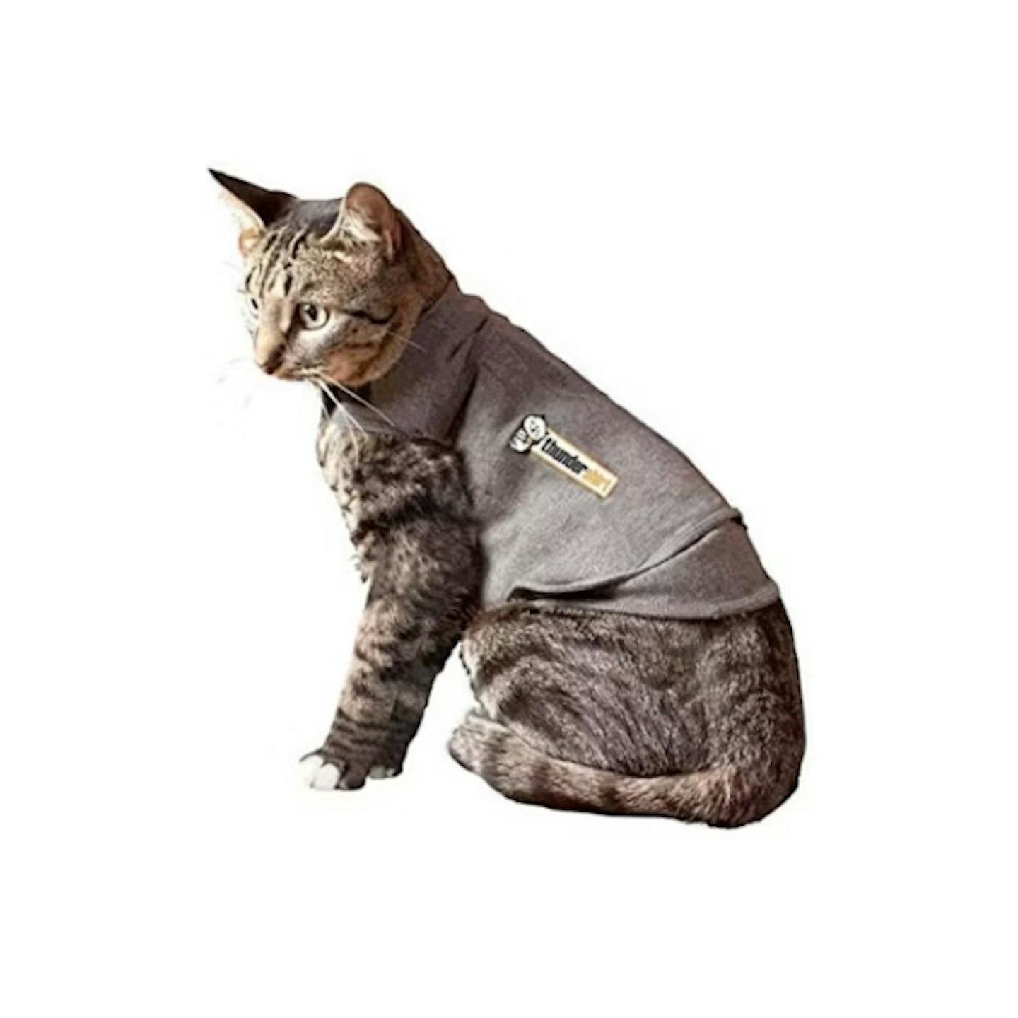 Calming Cat Vest