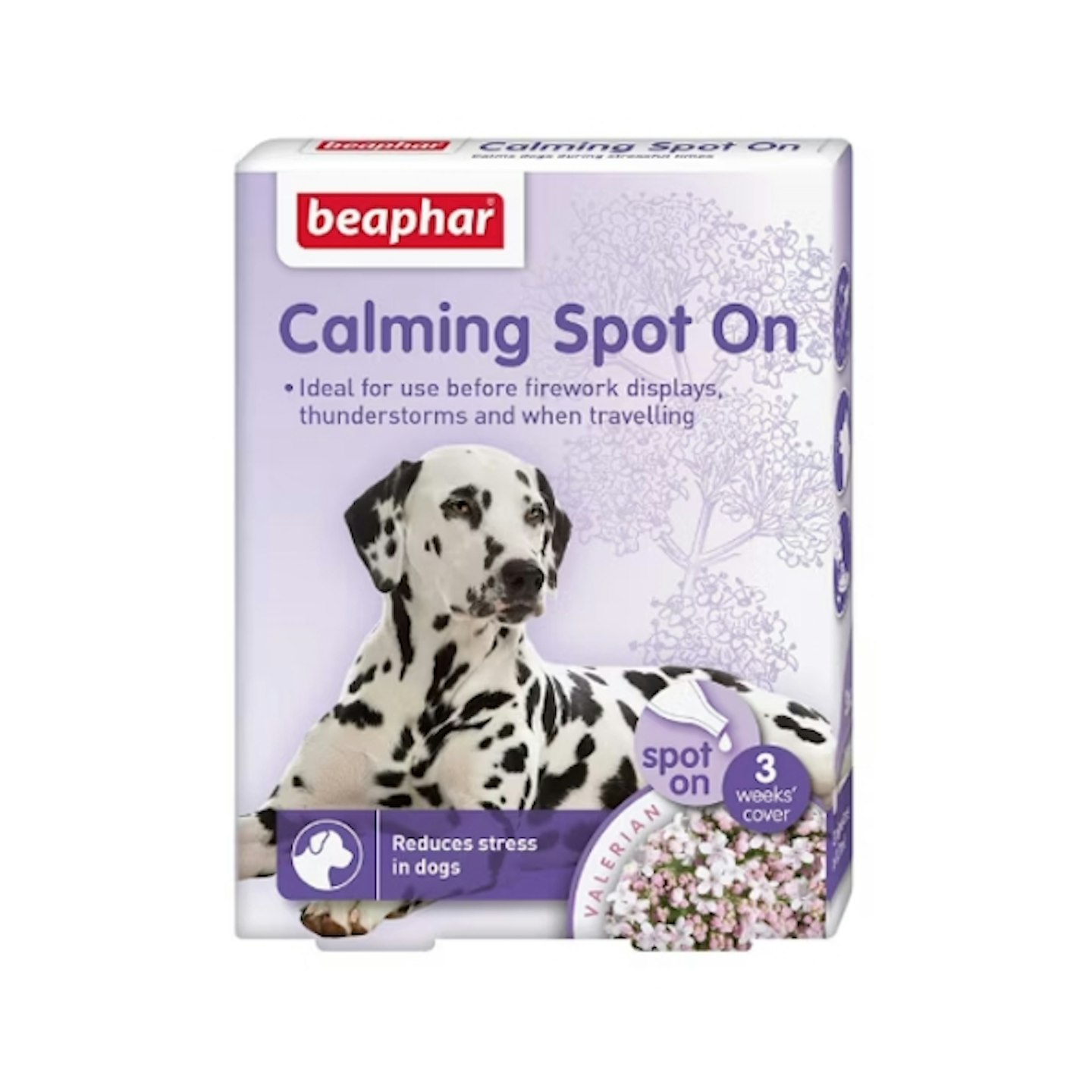 Calming Spot on for Dogs