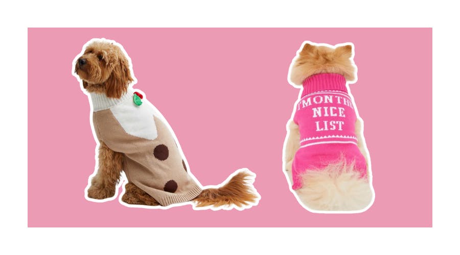 The Best Dog Christmas Jumpers UK 2023 Shop Them Here
