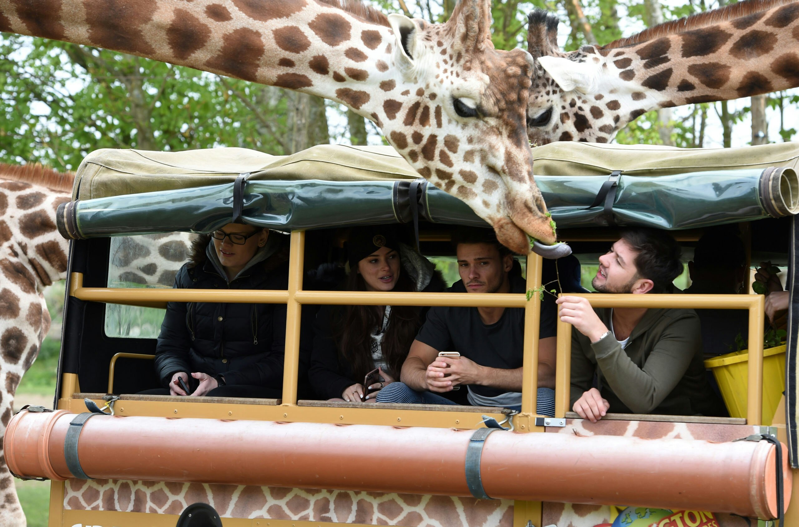 towie myles barnett and courtney green