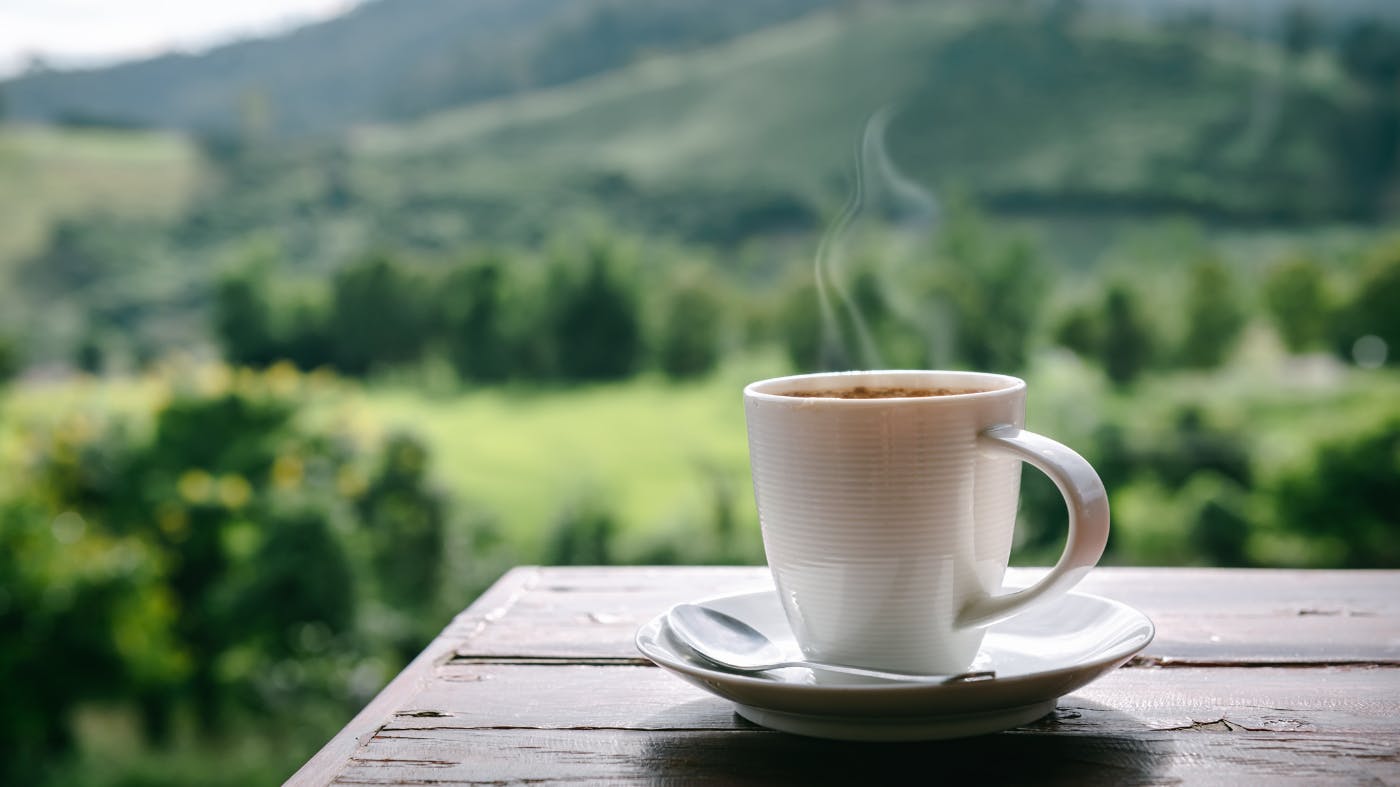 Mushroom coffee what is it and is it beneficial? Closer