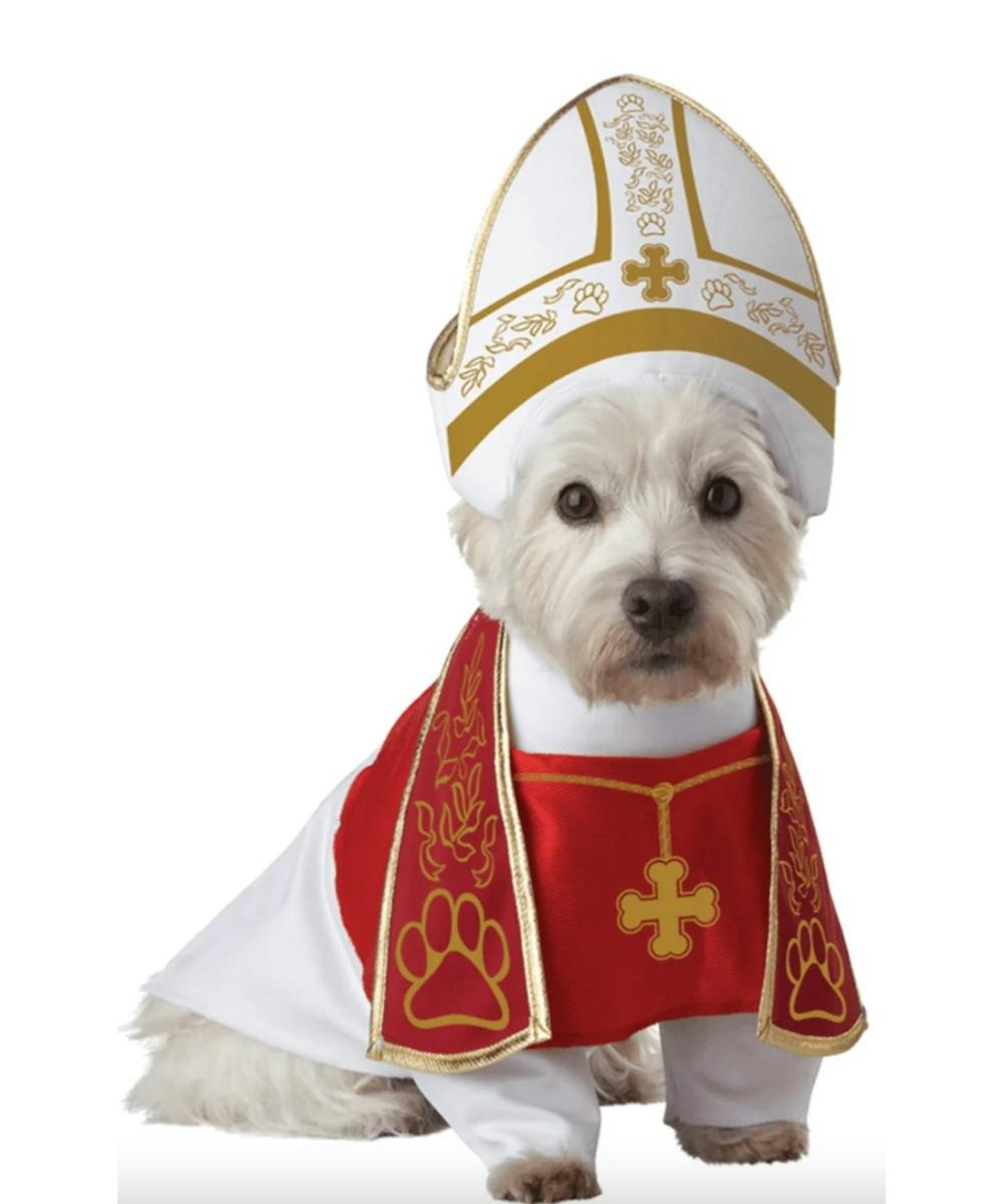 Fancydress.com Holy Hound Dog Costume