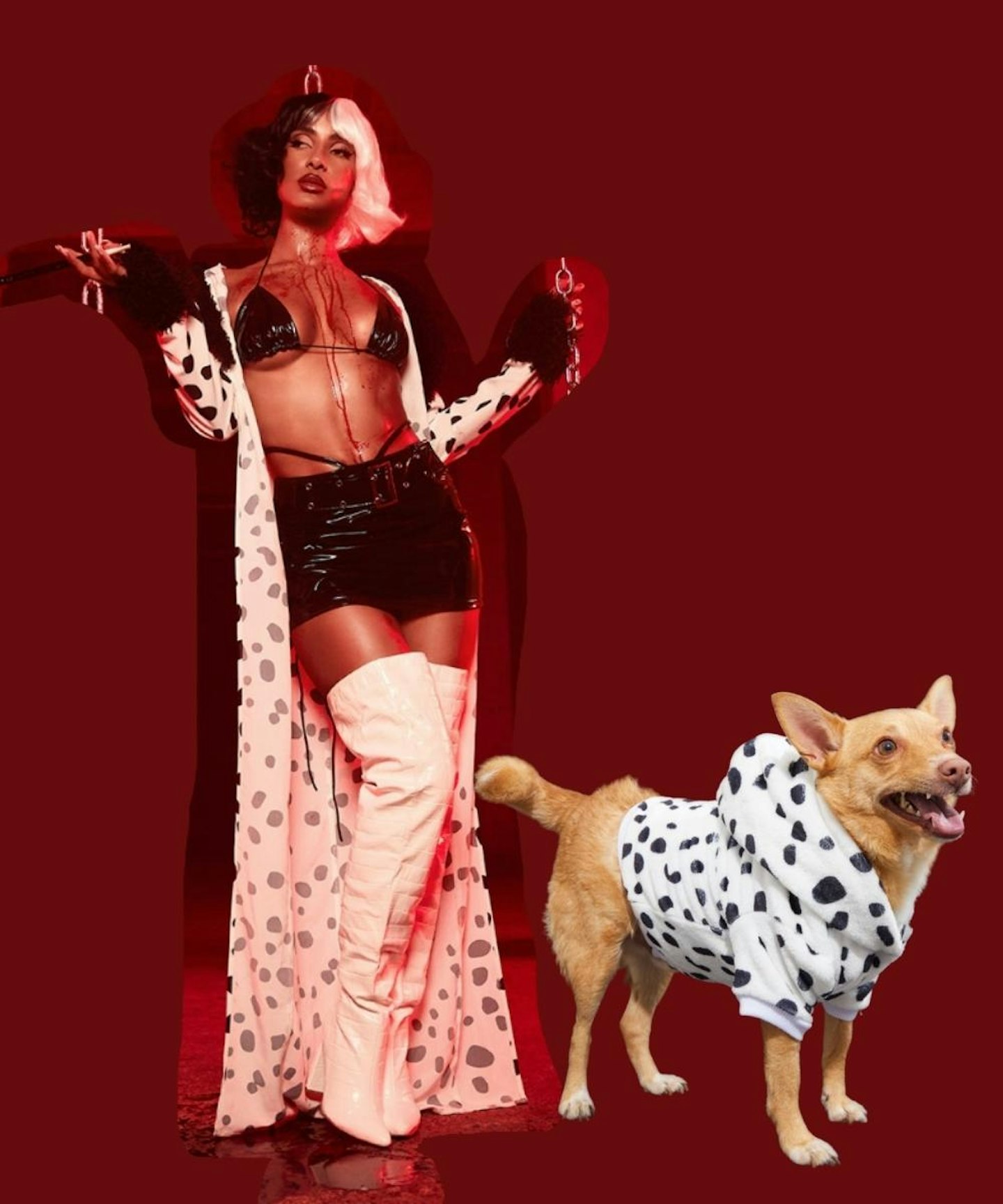 PLT's Matching 101 Dalmatian Costumes