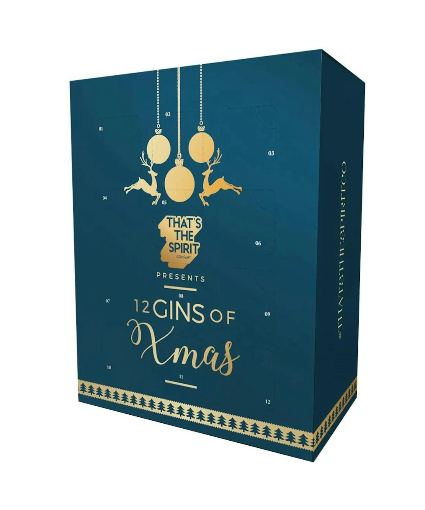 12 Gins of Xmas Advent Calendar