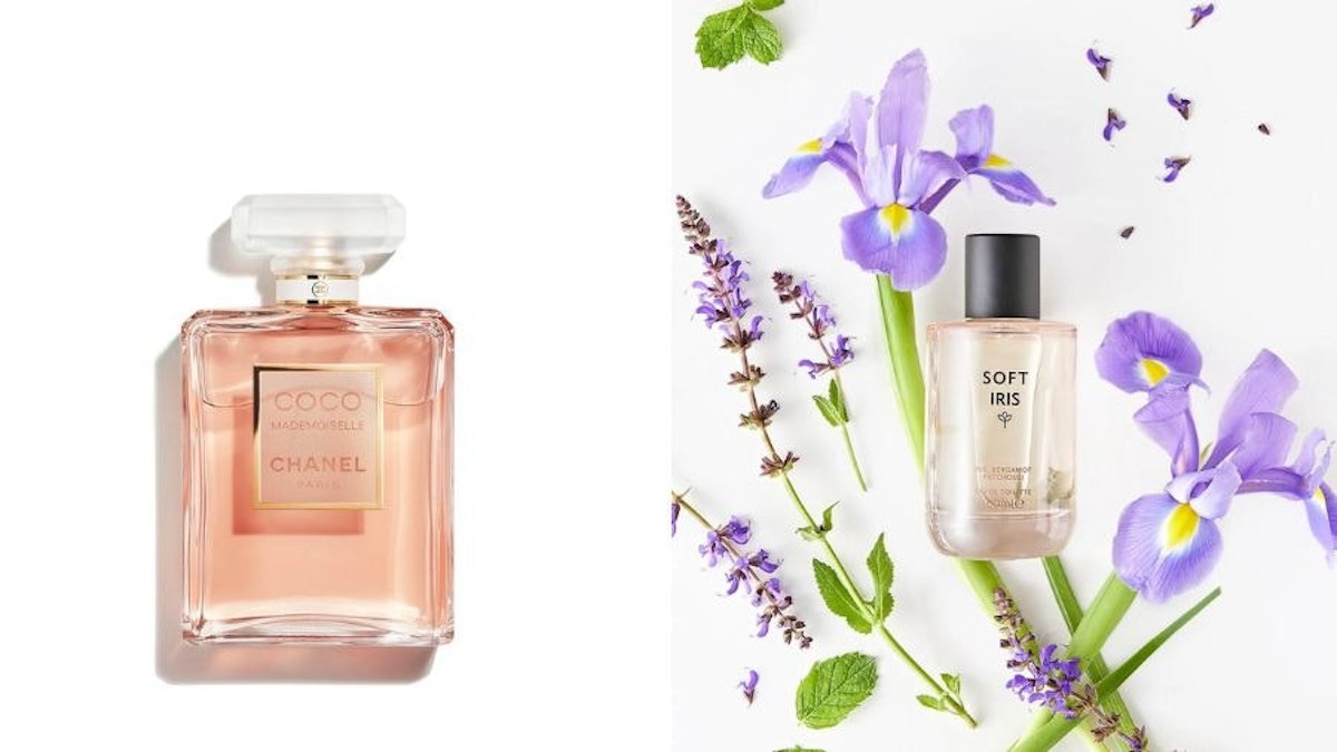 M&S Perfume Dupes 2023: Where To Buy Black Opium Dupes
