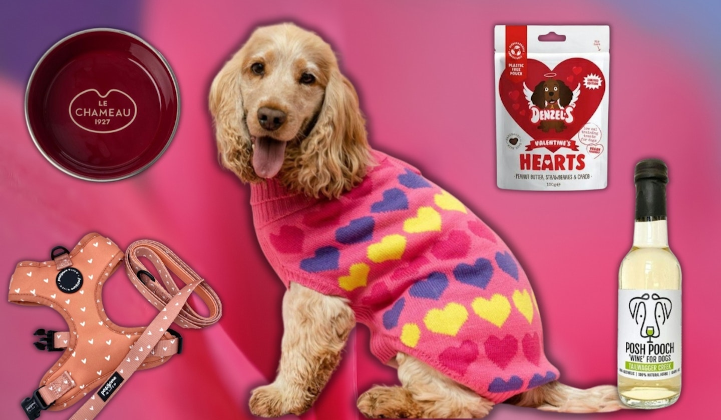 valentines-day-best-dog-gifts-2024
