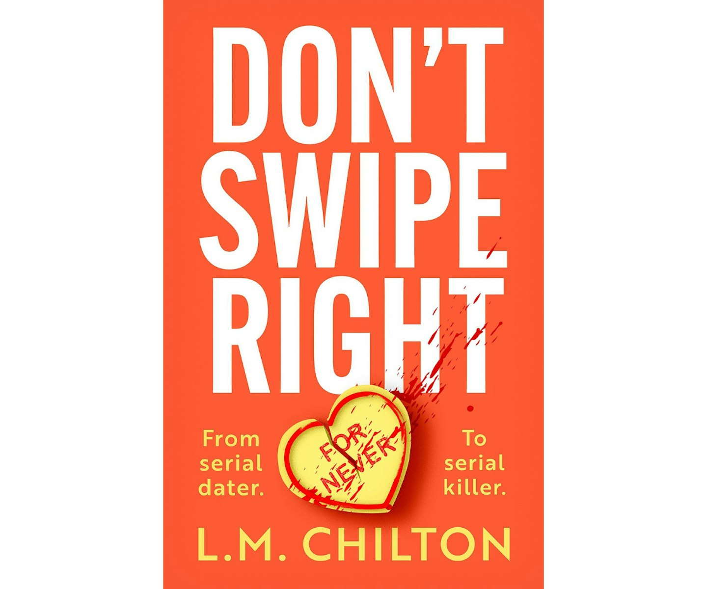 Don't Swipe Right by L.M Chilton