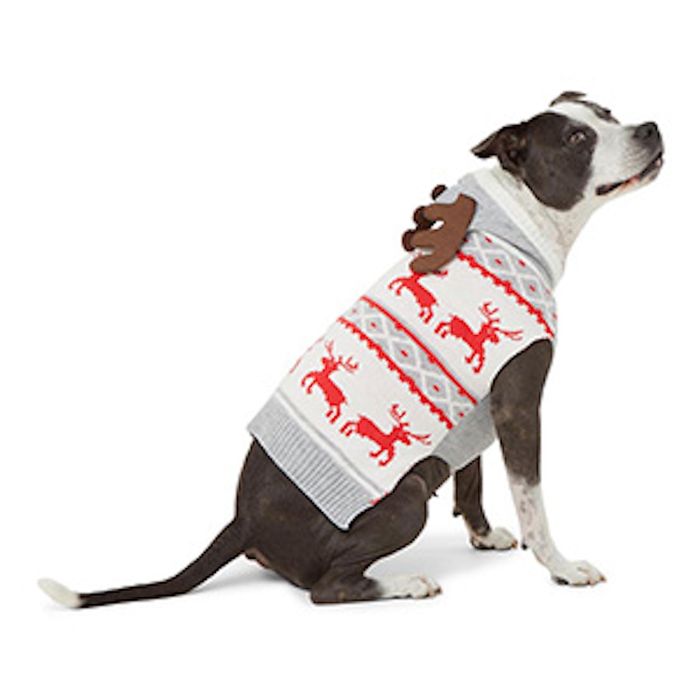 The Best Dog Christmas Jumpers UK 2023 Shop Them Here