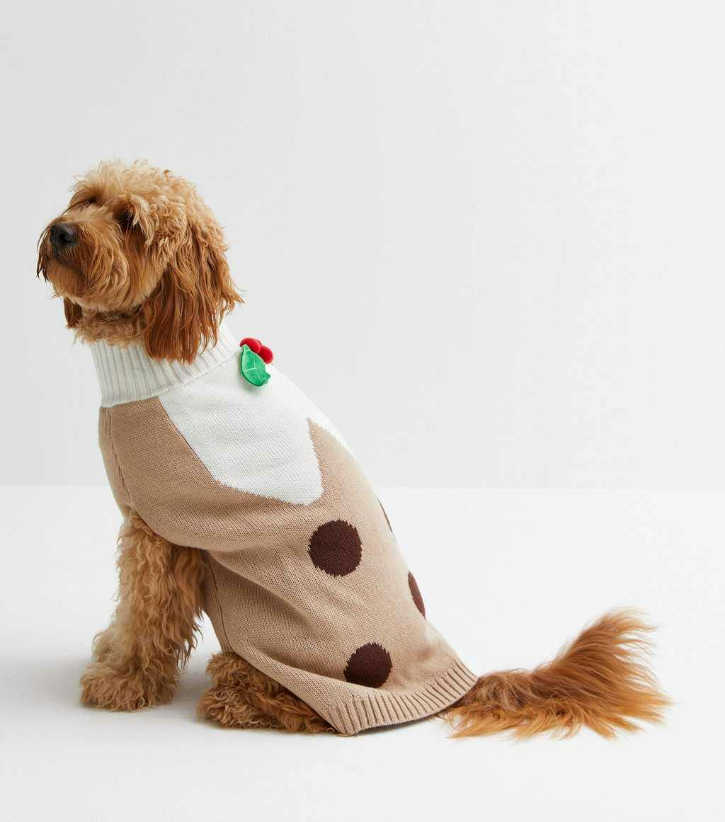 Dog christmas pudding outlet costume