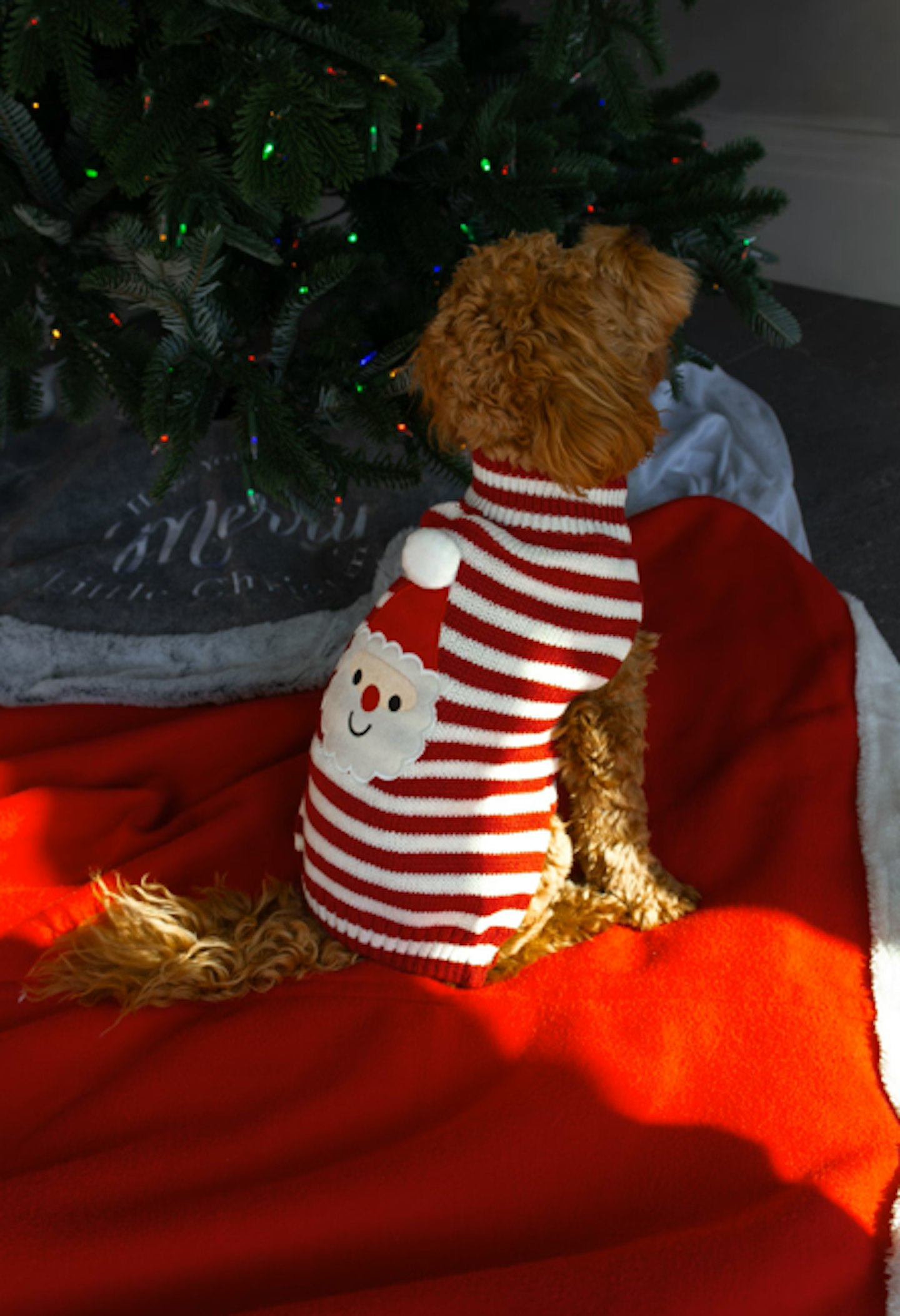 Dog/Cat Christmas Jumper