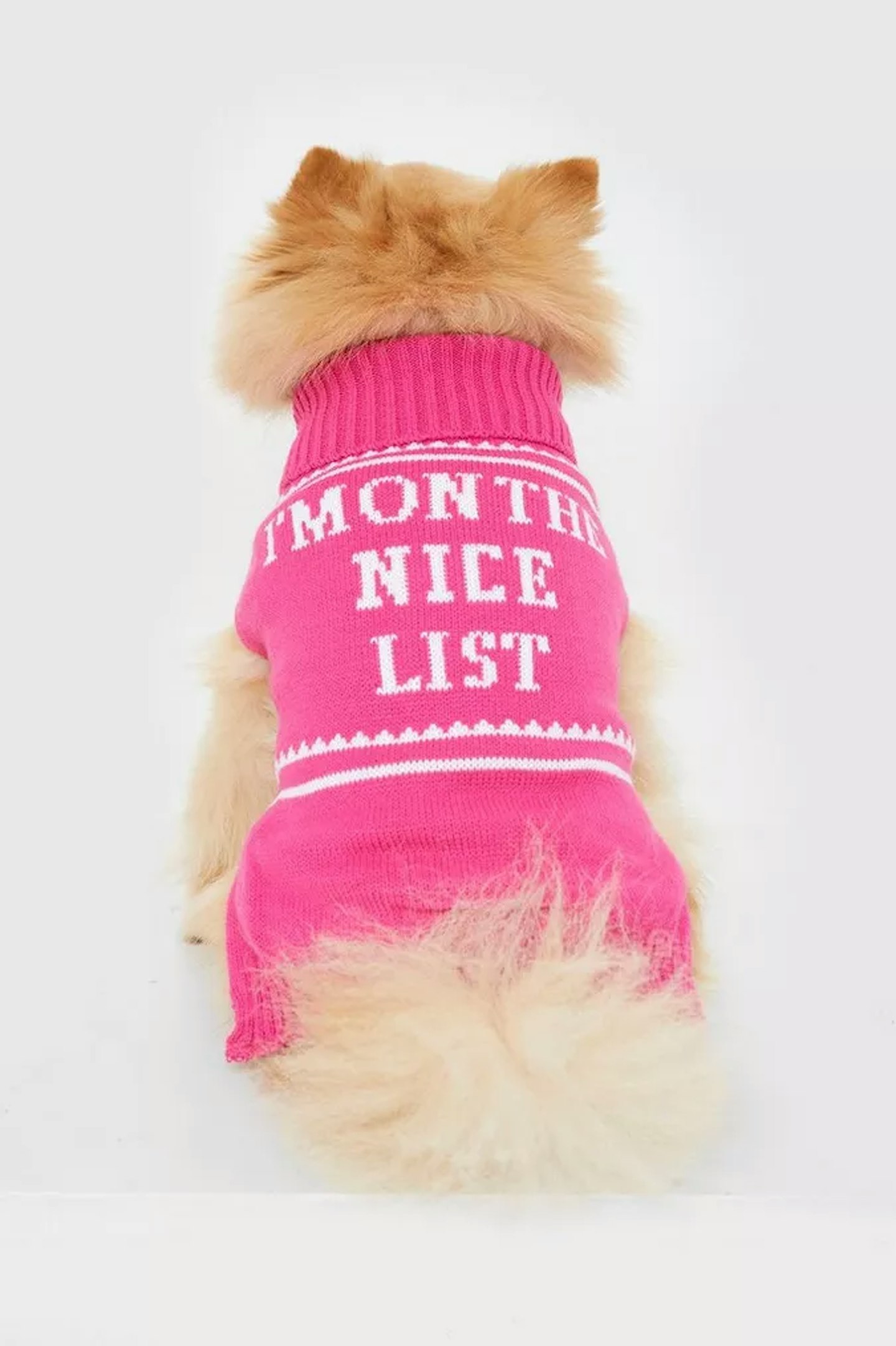 Nice List Dog Jumper