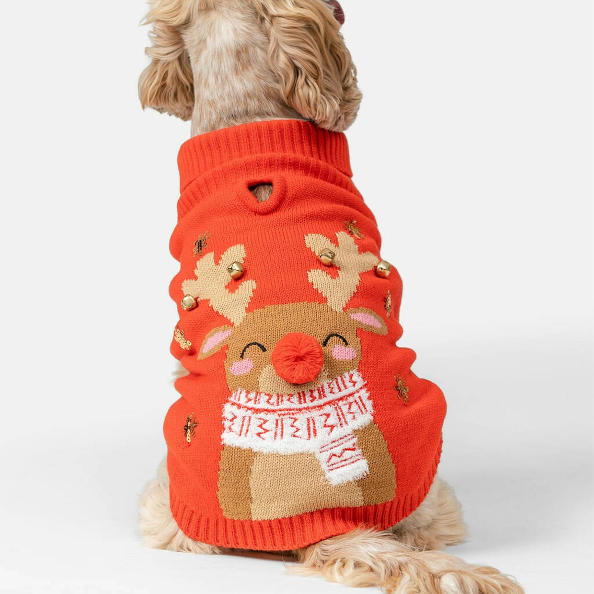 The Best Dog Christmas Jumpers UK 2023: Shop Them Here