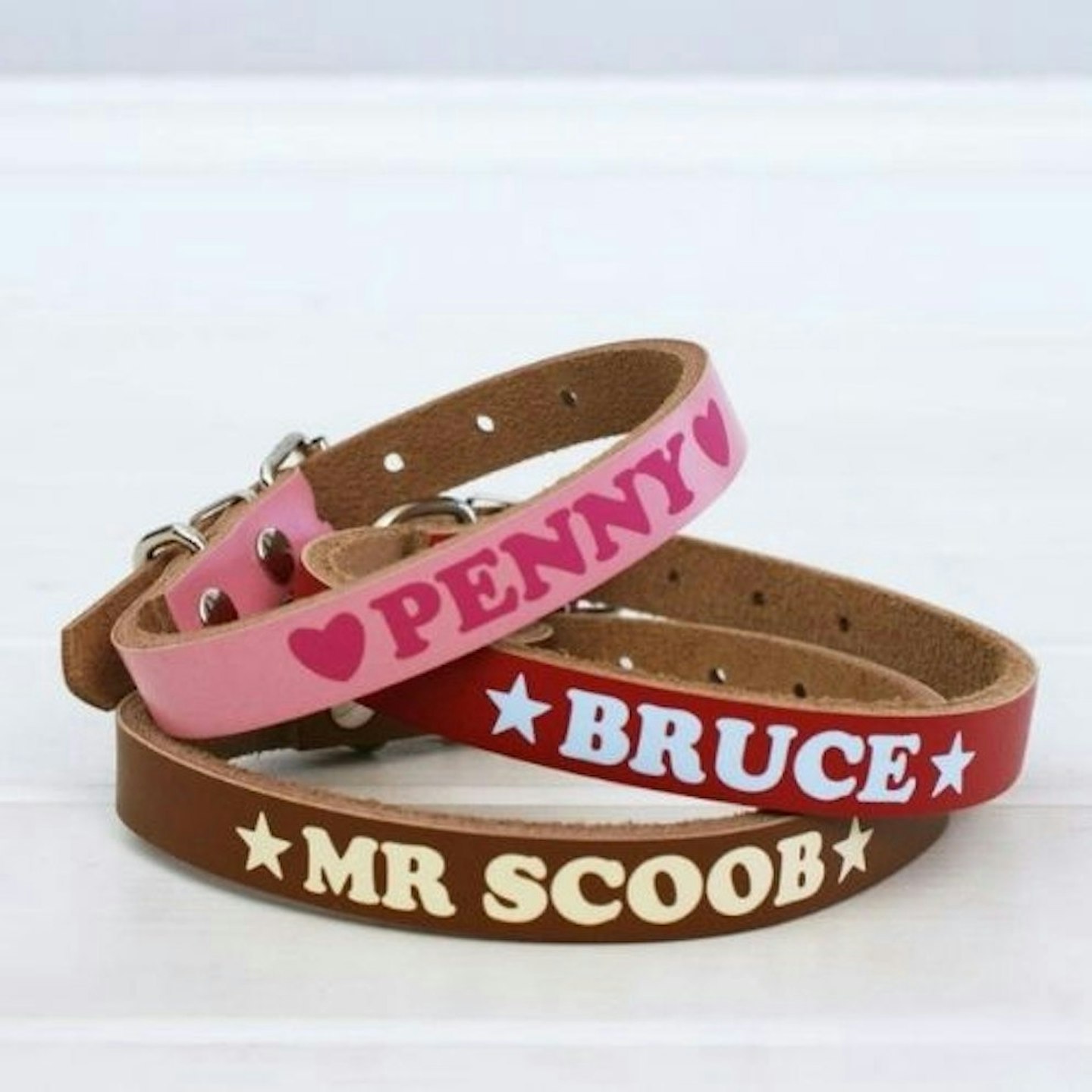 Personalised Colourful Dog Collar
