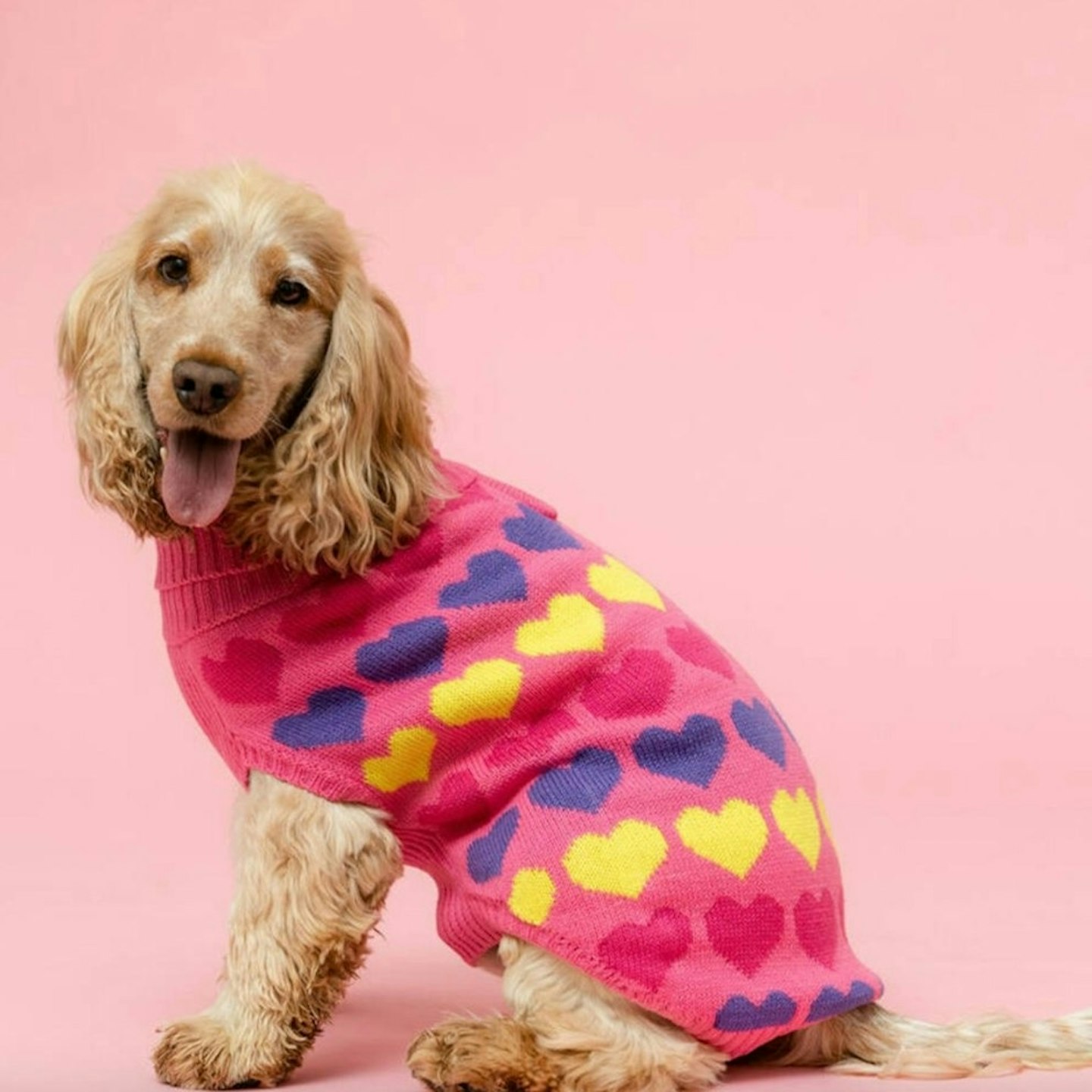 Loveheart Knitted Dog Jumper