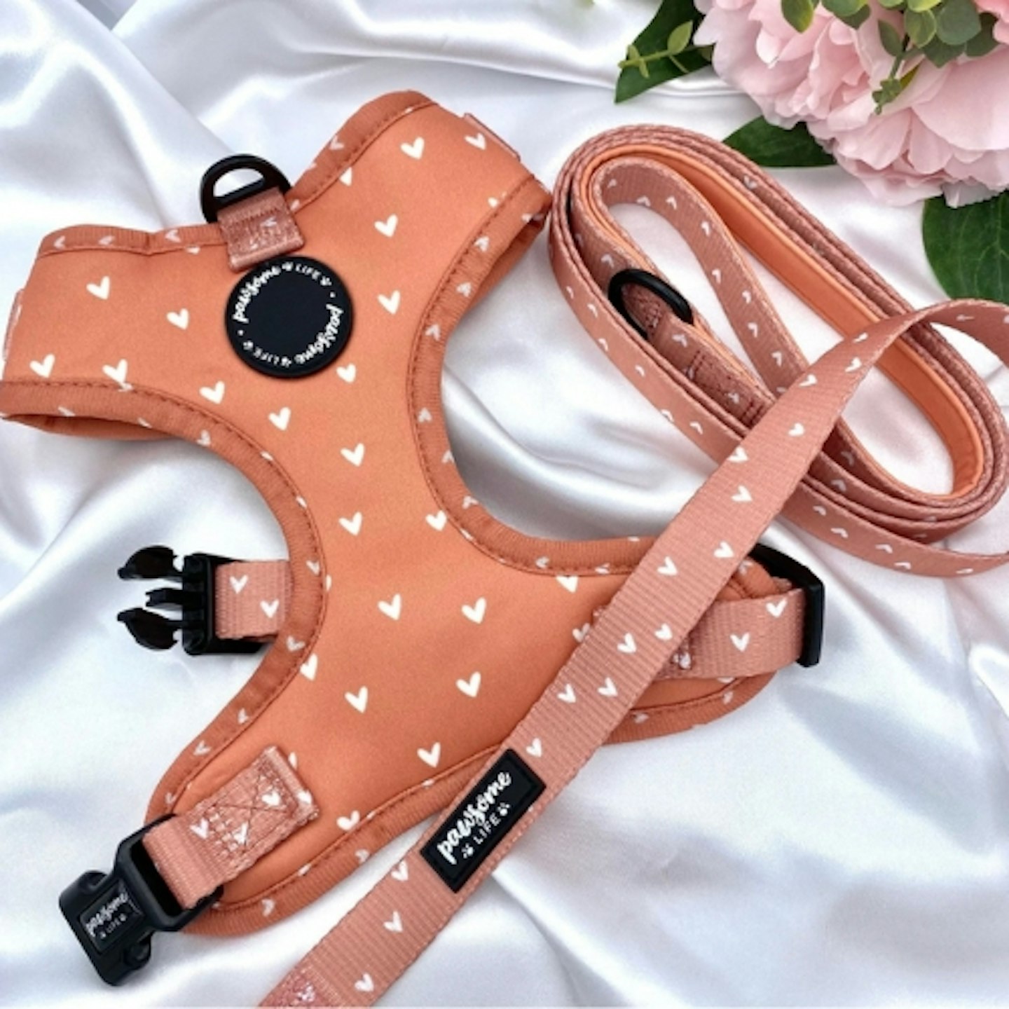 Dog Harness and Leash Set, Cute Hearts