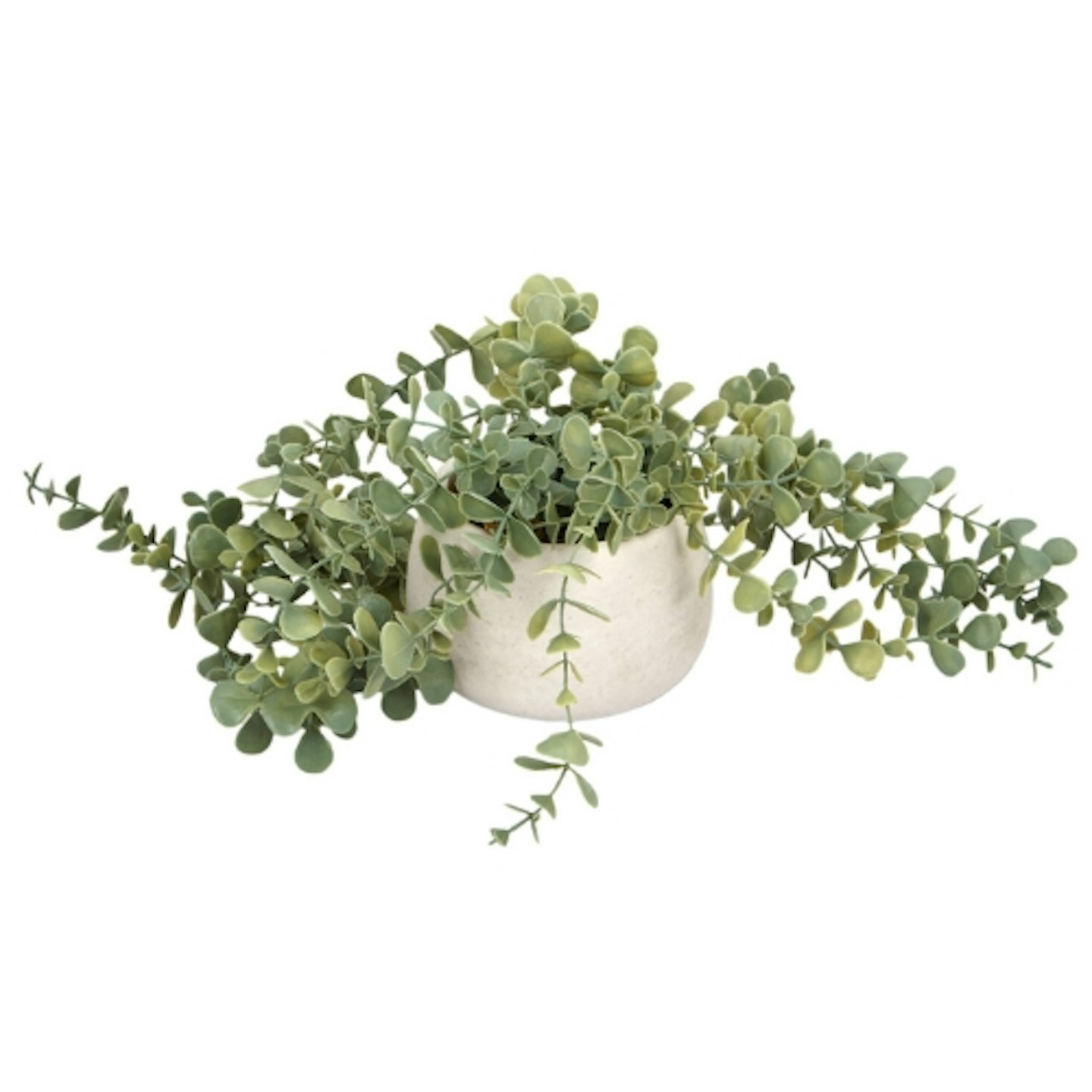 Wilko Trailing Eucalyptus in Wash Pot - Green