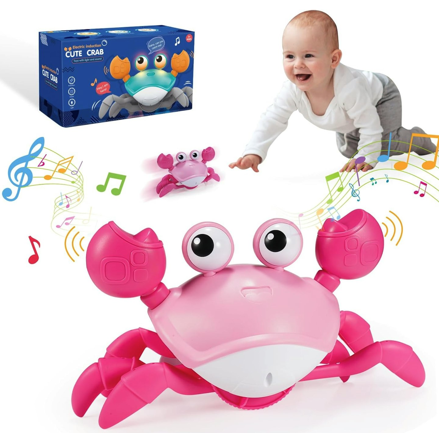 Grriopi Crawling Crab Toy