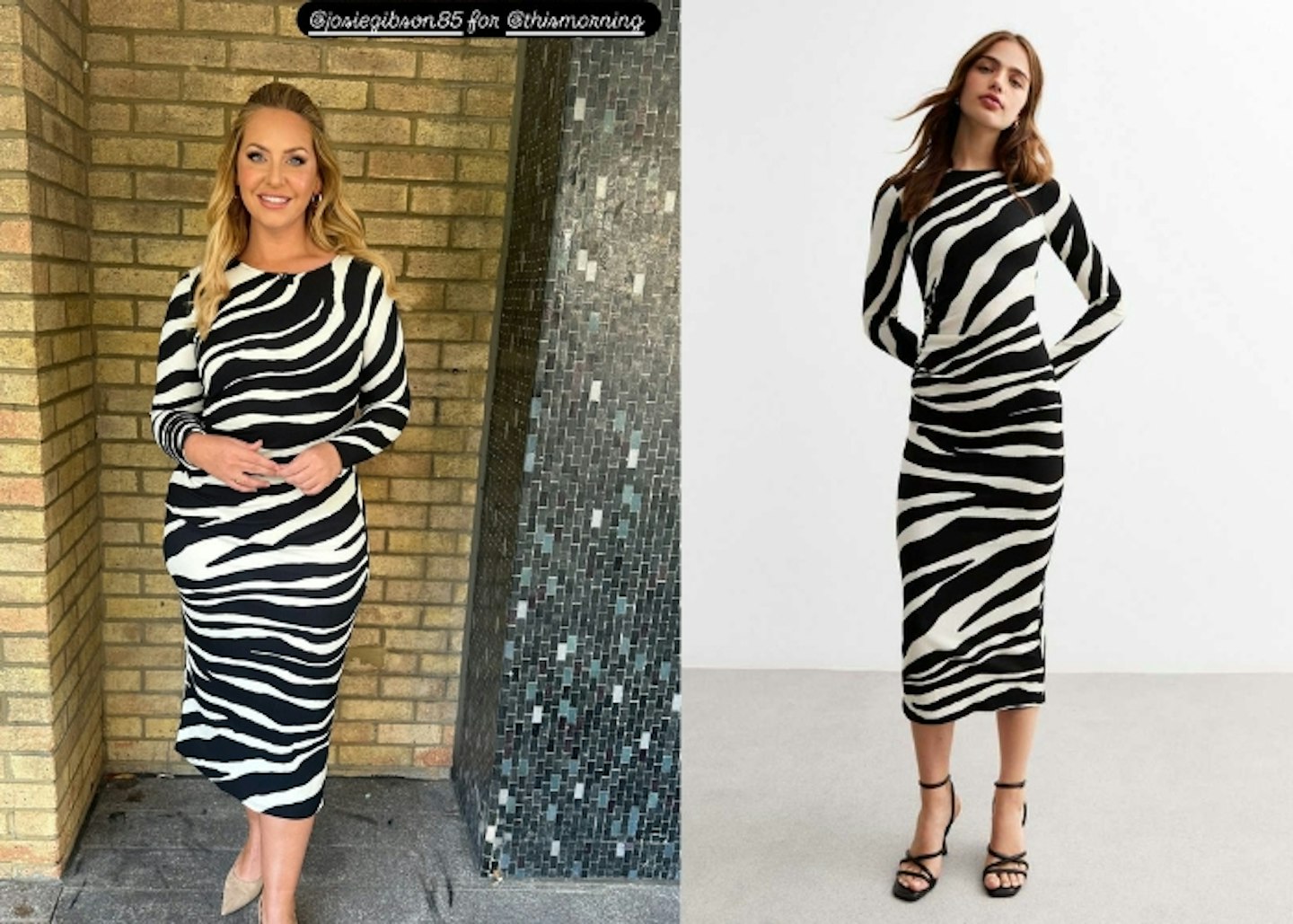 Josie's New Look Zebra Print Midi Dress