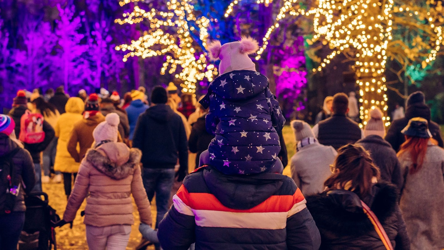 Christmas at Bute Park