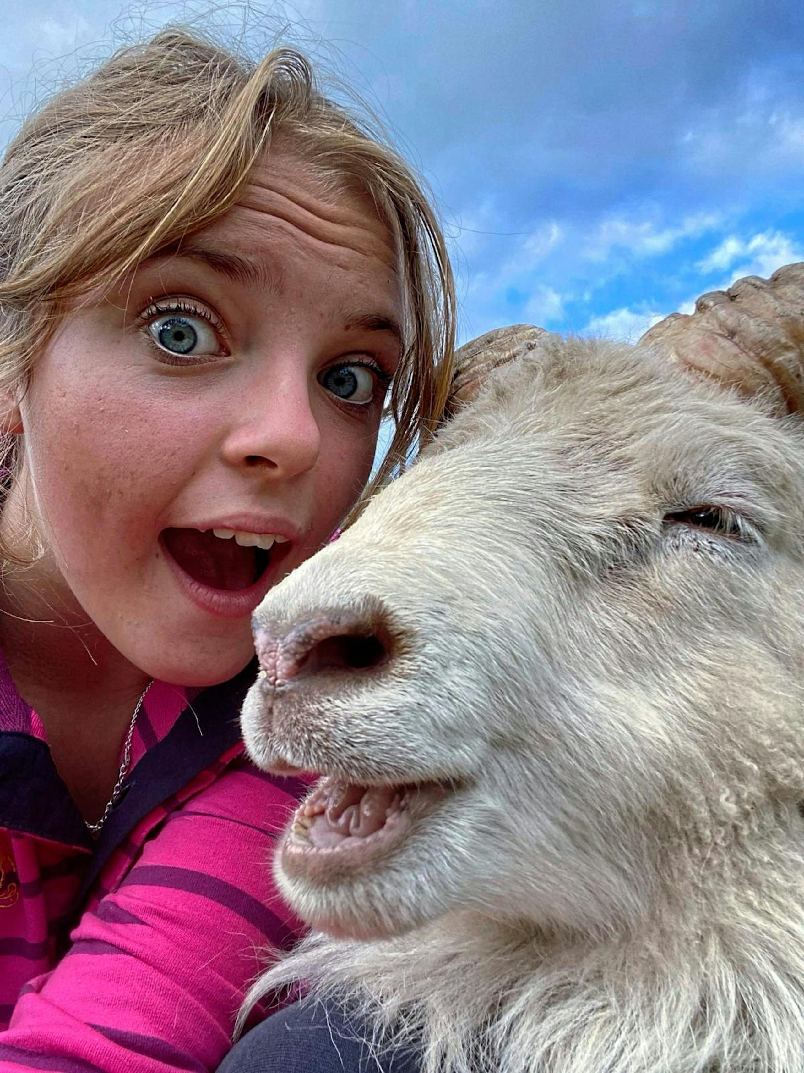 brought therapy sheep to prom