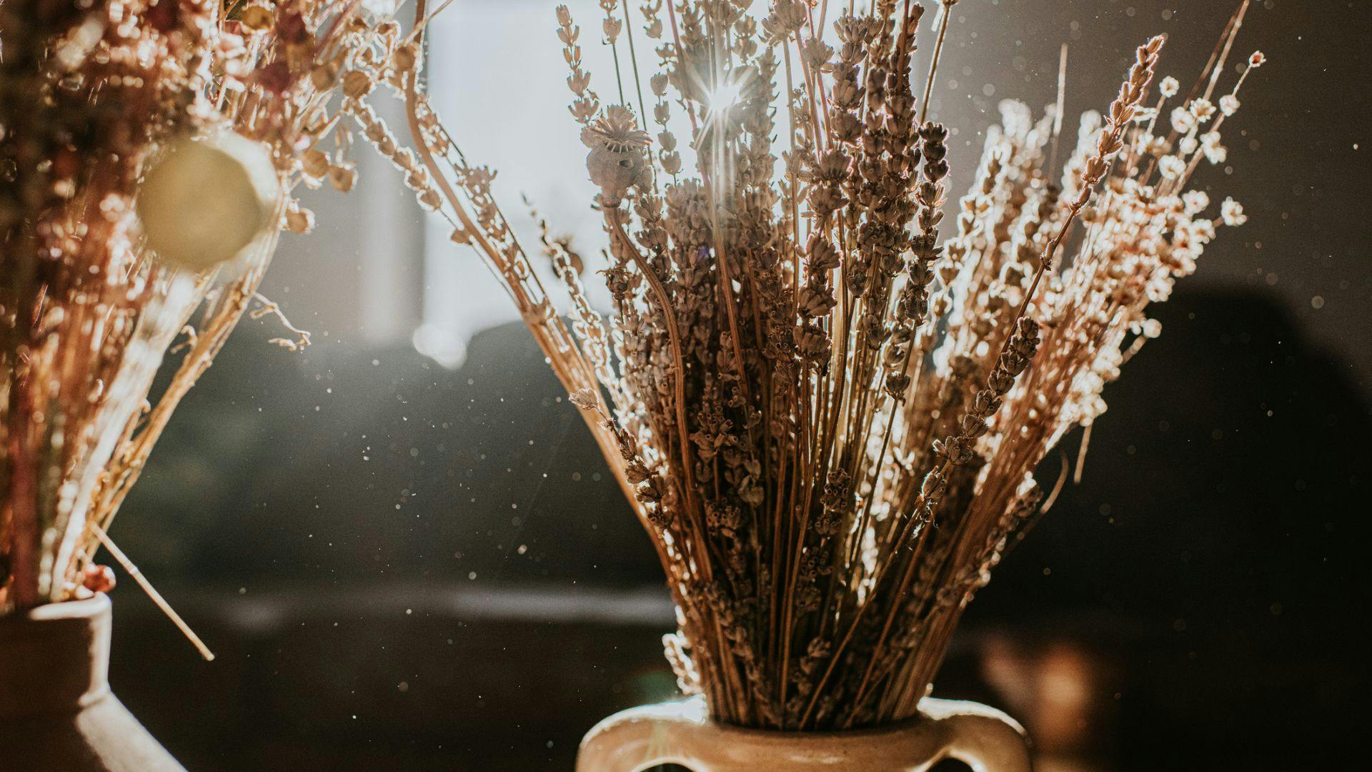 Shop The Best Dried Flowers For Mother's Day Delivery UK 2024