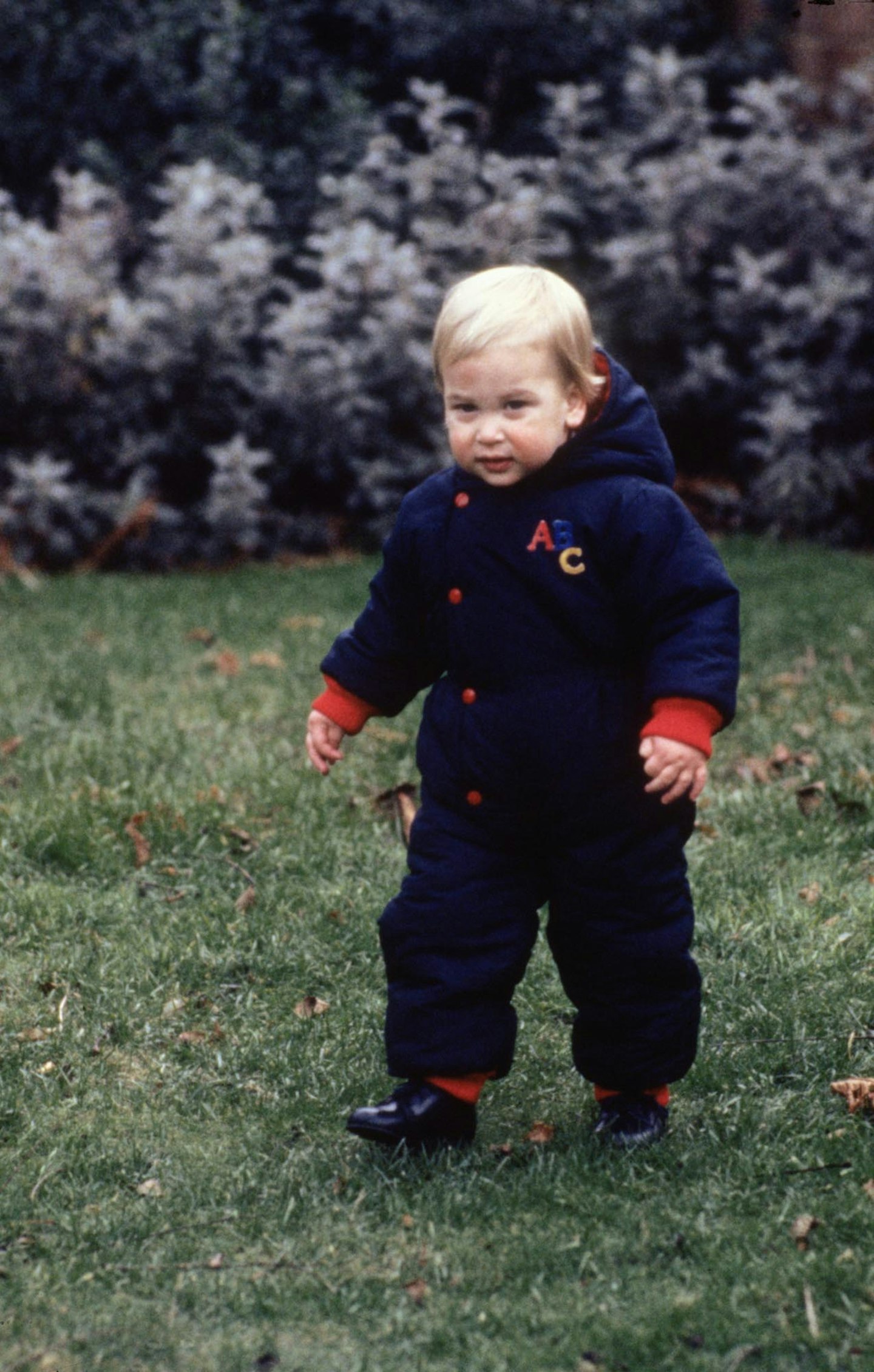 Prince William best childhood pictures