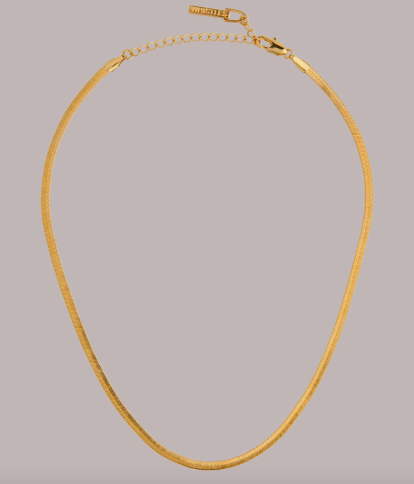 Whistles, Flat Snake Chain Necklace, £25