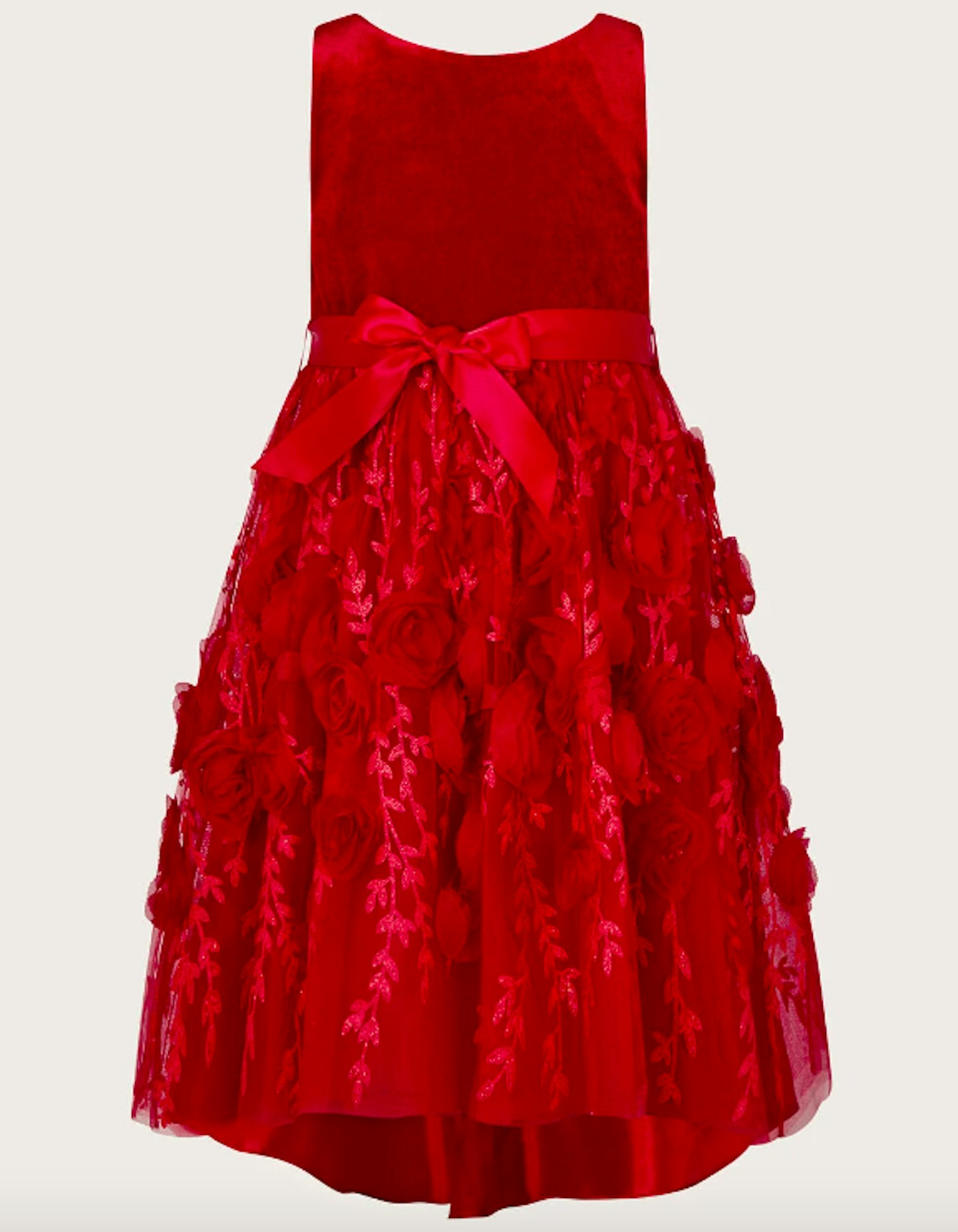 Velvet 3D Roses Dress Red