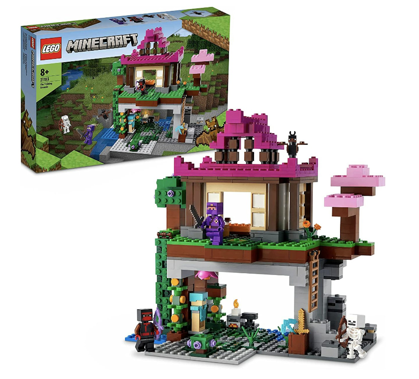 LEGO 21183 Minecraft The Training Grounds House Building Set