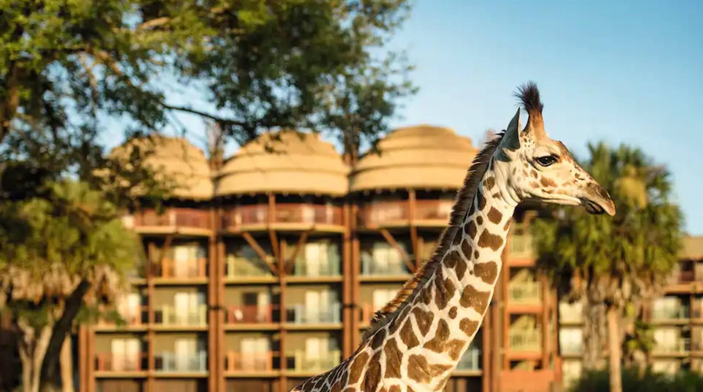 Disney's Animal Kingdom Lodge, USA