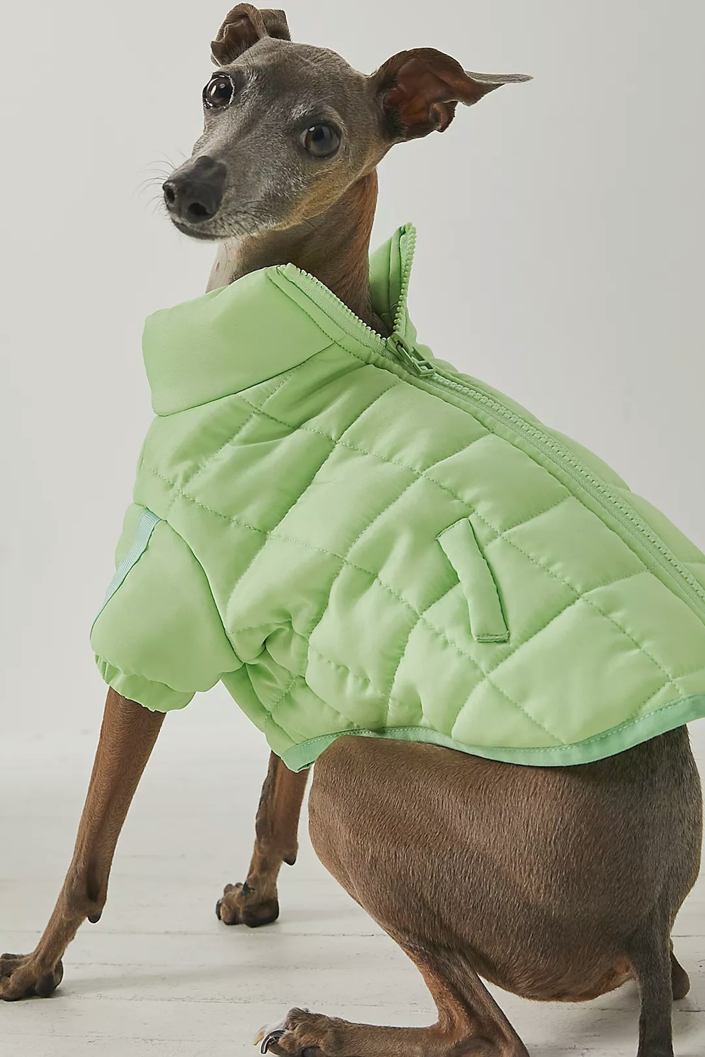 FP x Found My Animal Pippa Puffer Pet Jacket