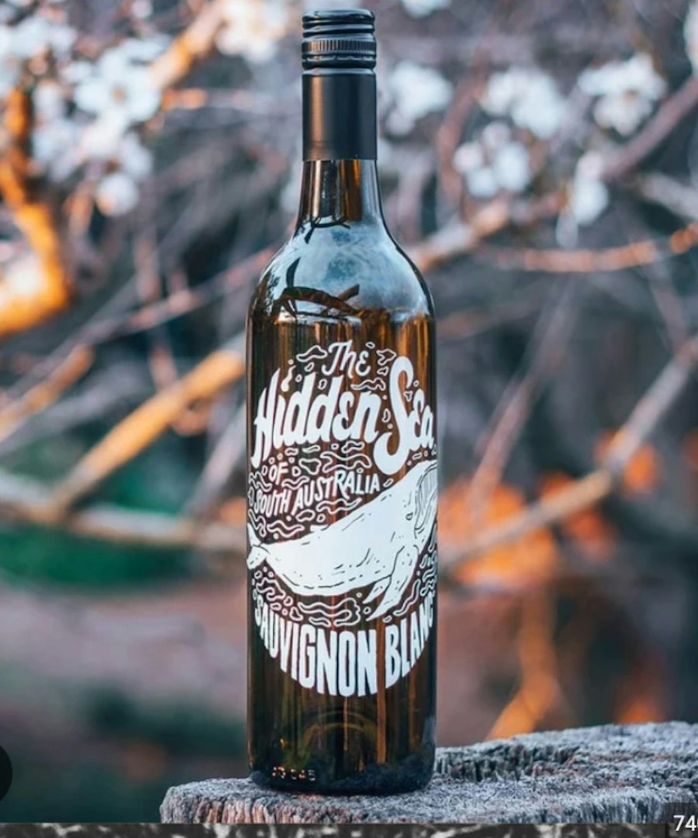 The Hidden Sea Wine