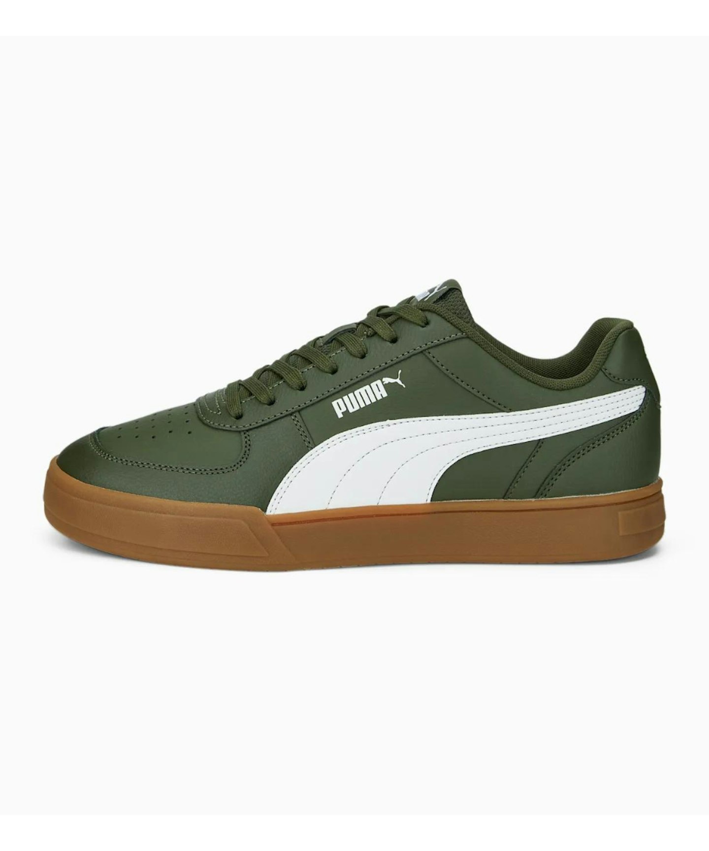 Puma Cavern