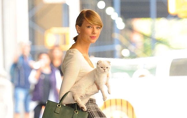 You'll Never Guess How Much Taylor Swift's Cat Is Worth