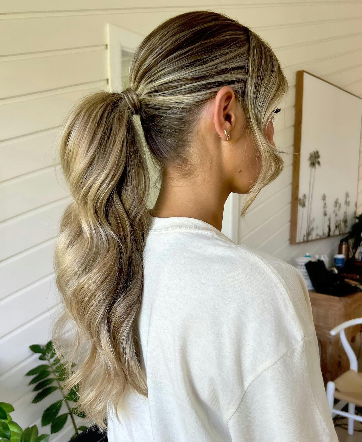 Wavy Ponytail