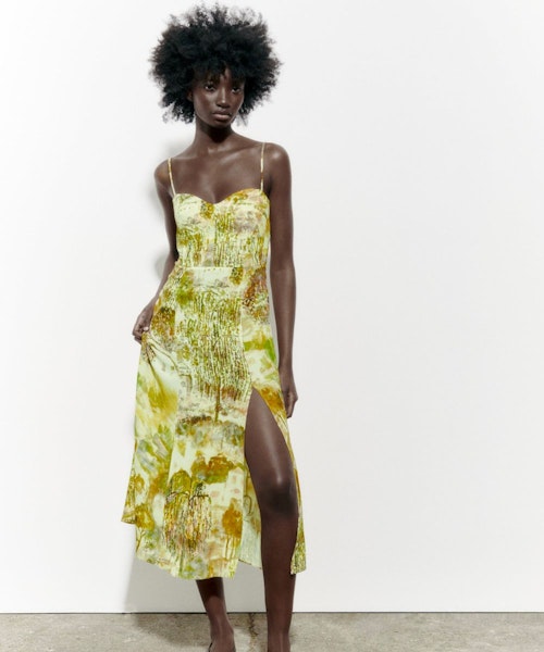 Zara Printed Midi Dress