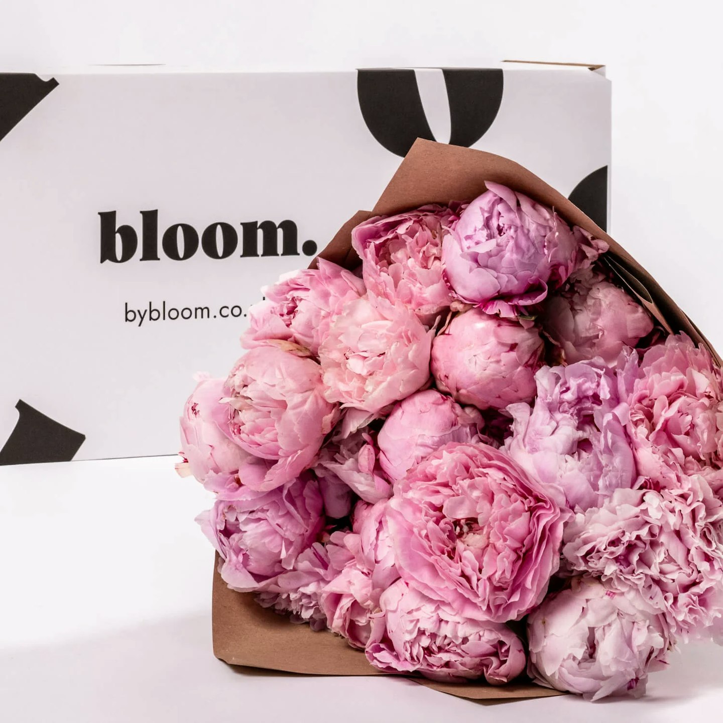 Bloom Sarah Bernhardt Pink Peony