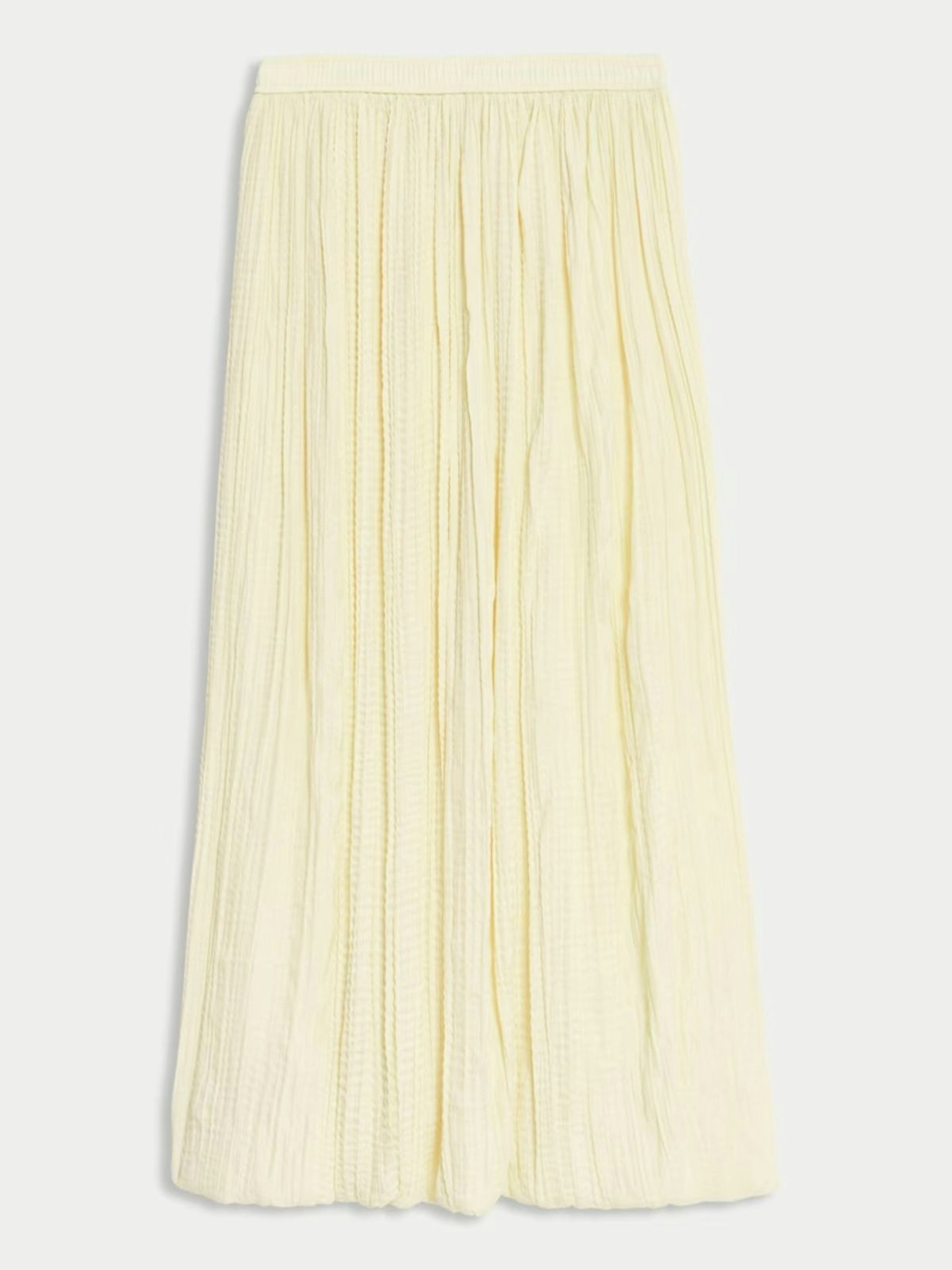 Textured Pleated Skirt